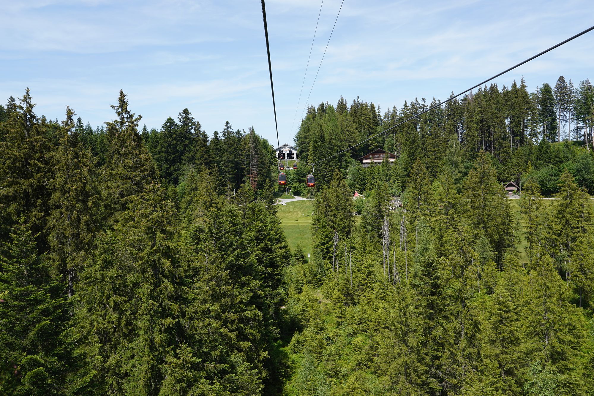 Mt. Pilatus (19)