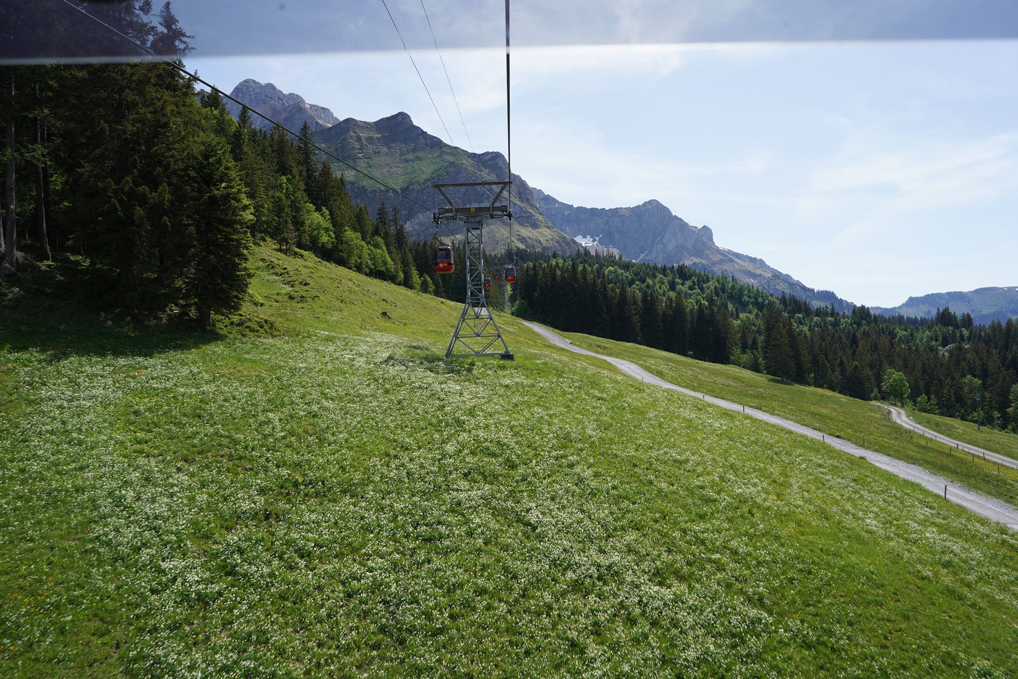 Mt. Pilatus (20)