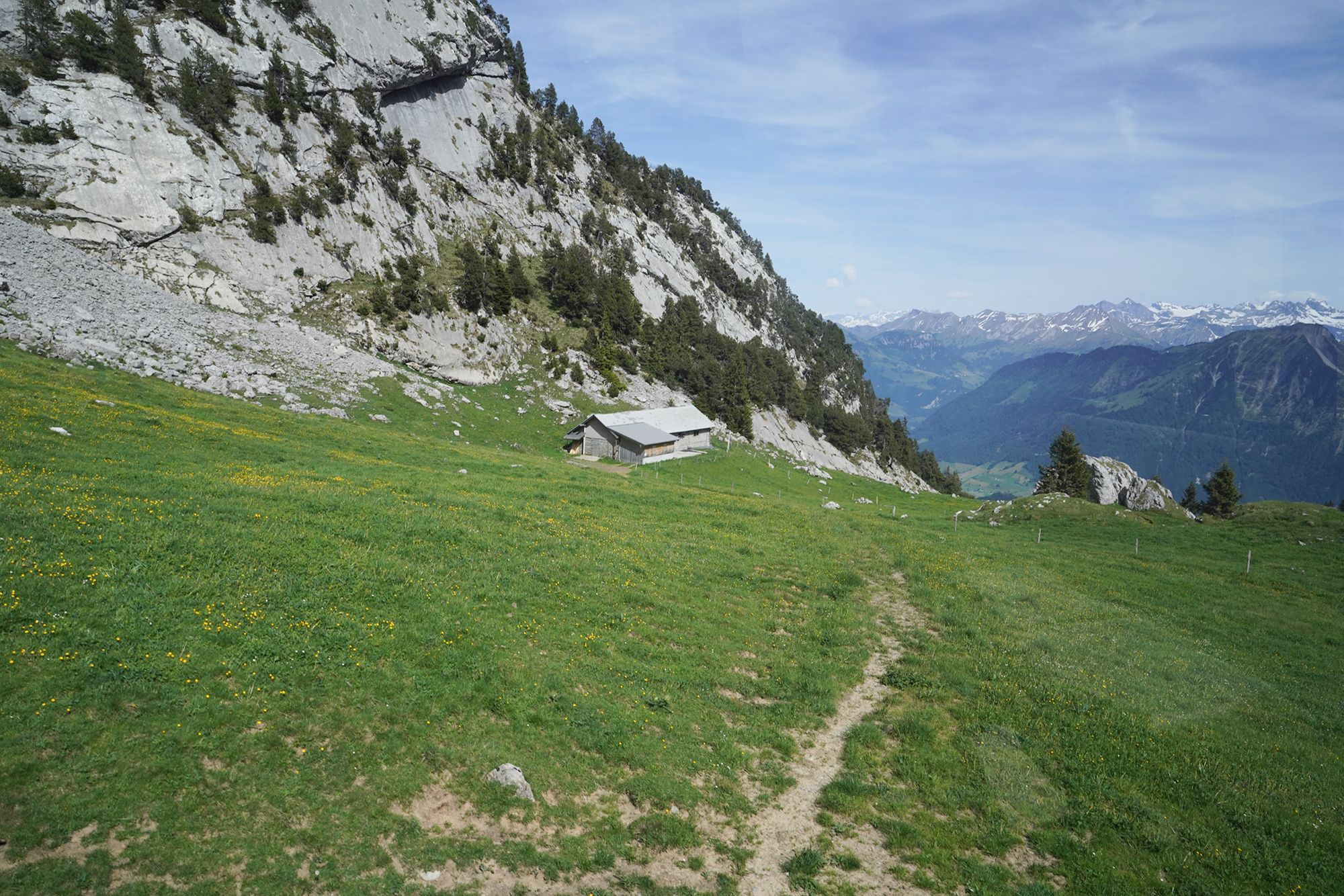 Mt. Pilatus (84)