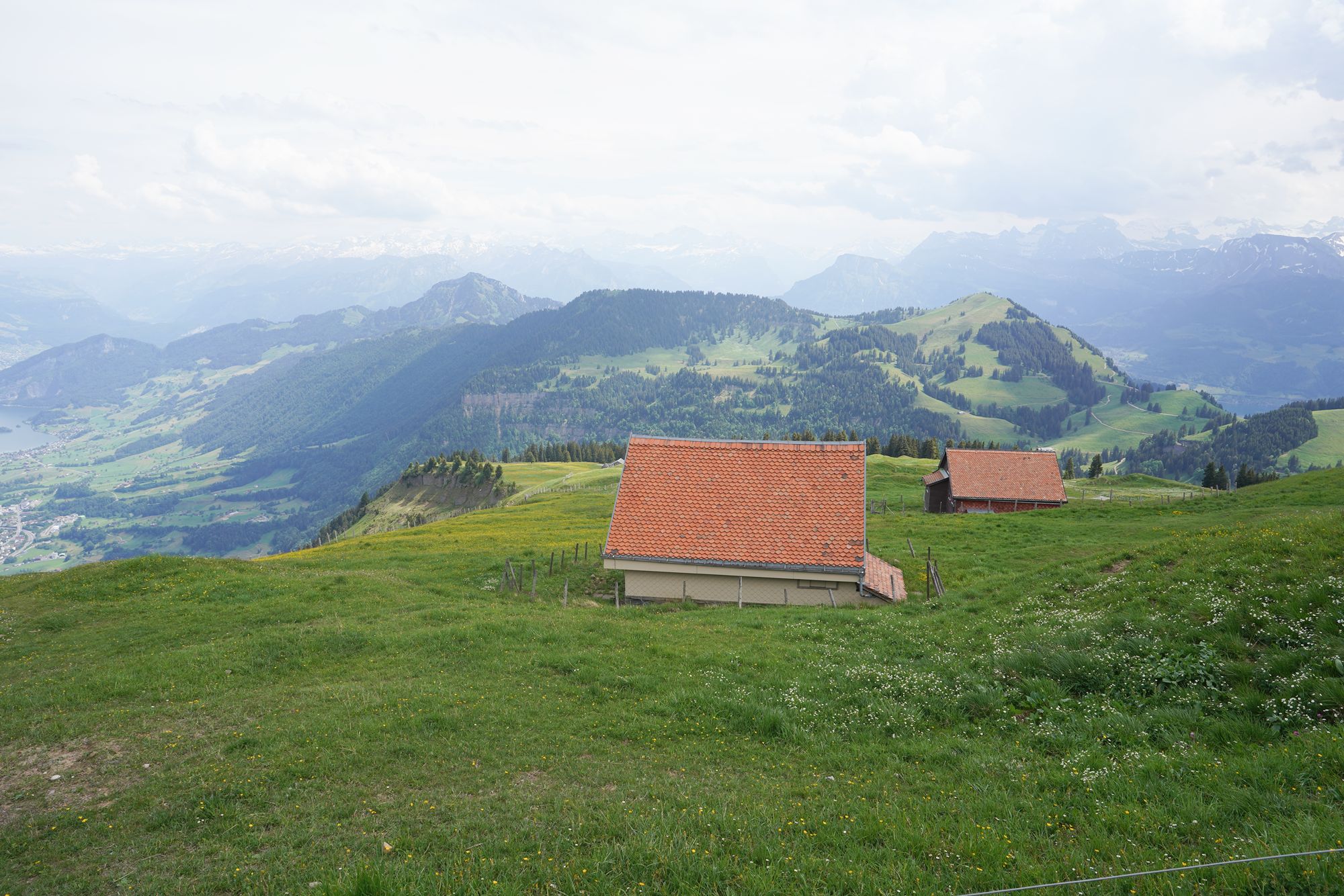Mt. Rigi (102) Mt. Rigi (102)