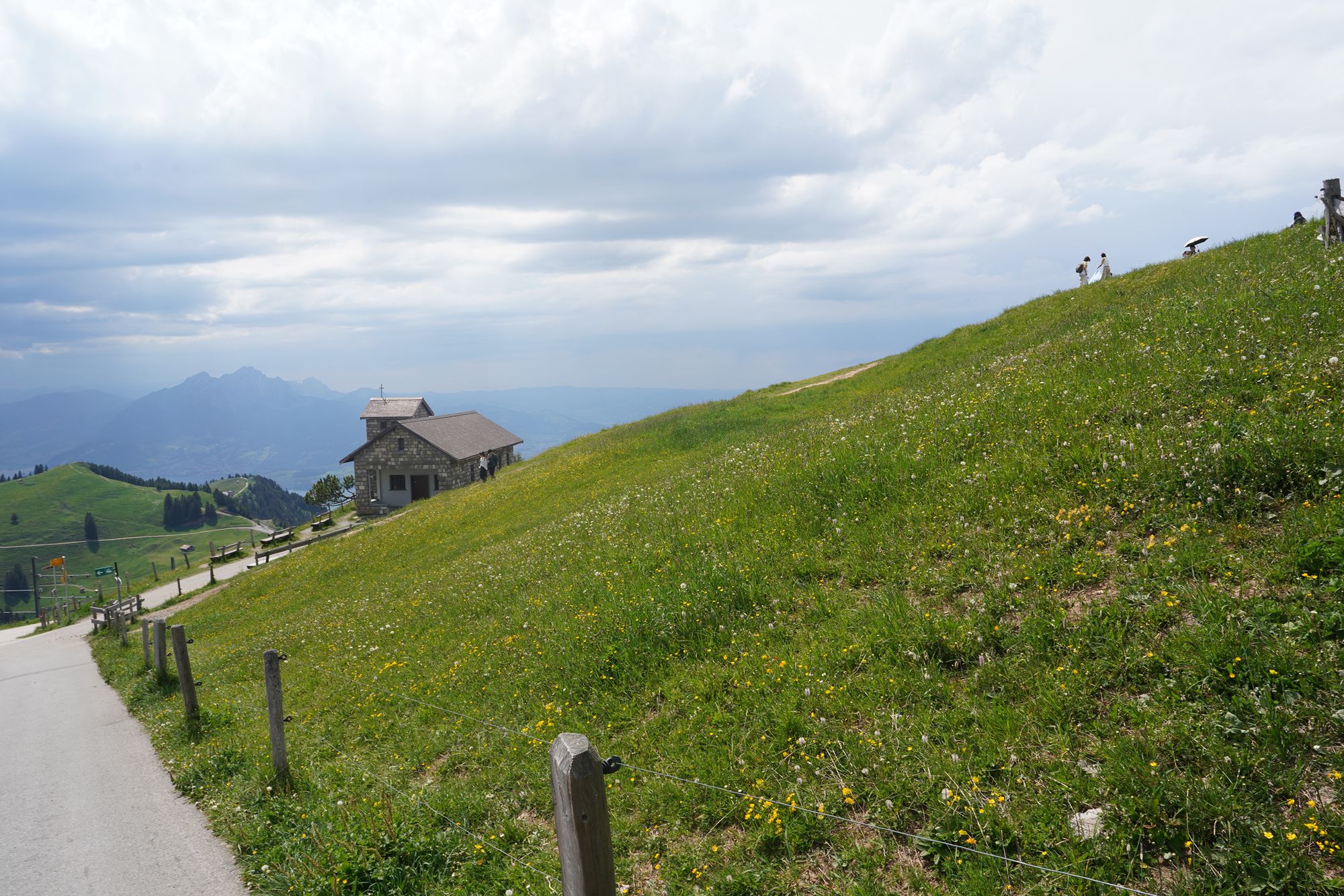 Mt. Rigi (113) Mt. Rigi (113)