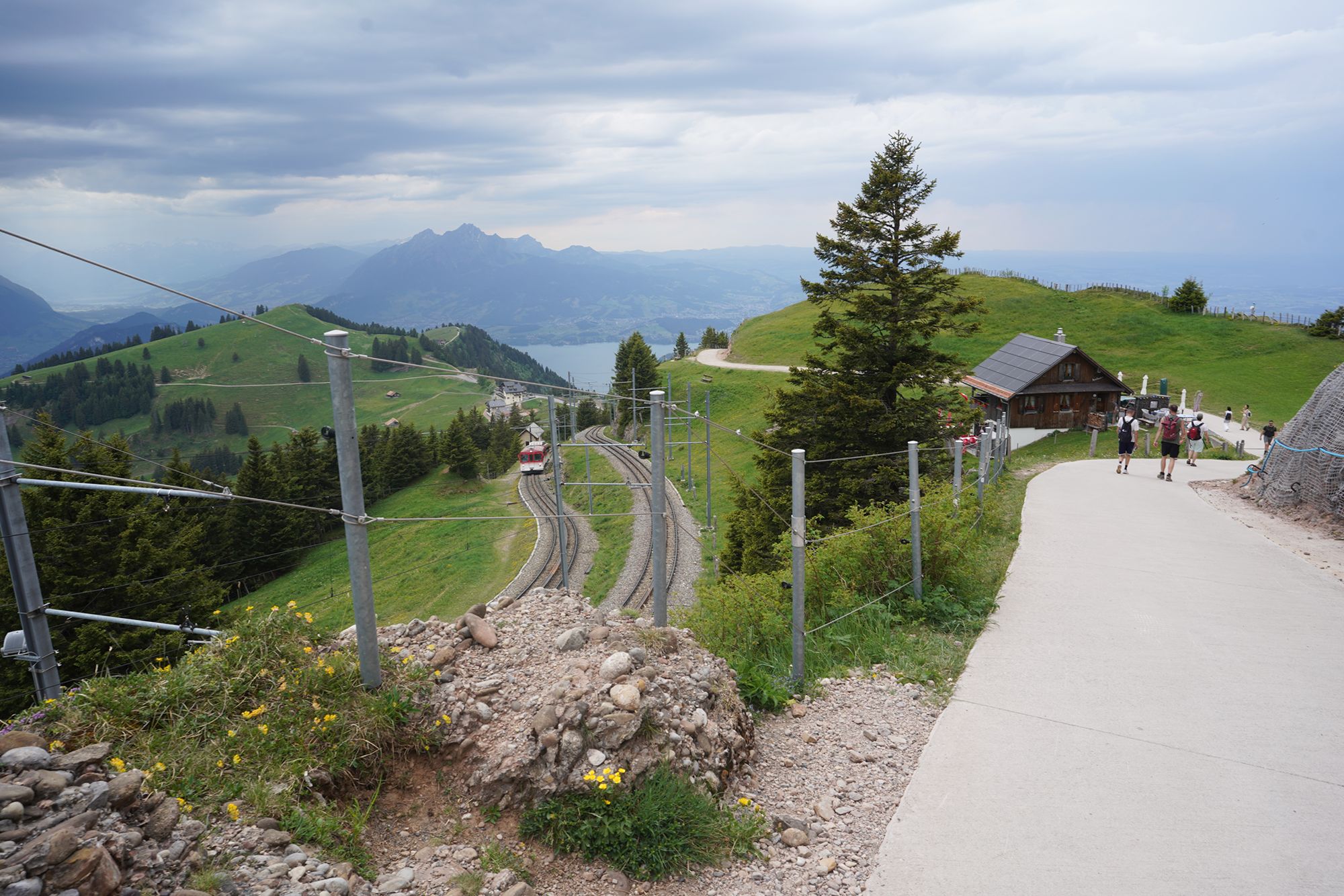 Mt. Rigi (115) Mt. Rigi (115)