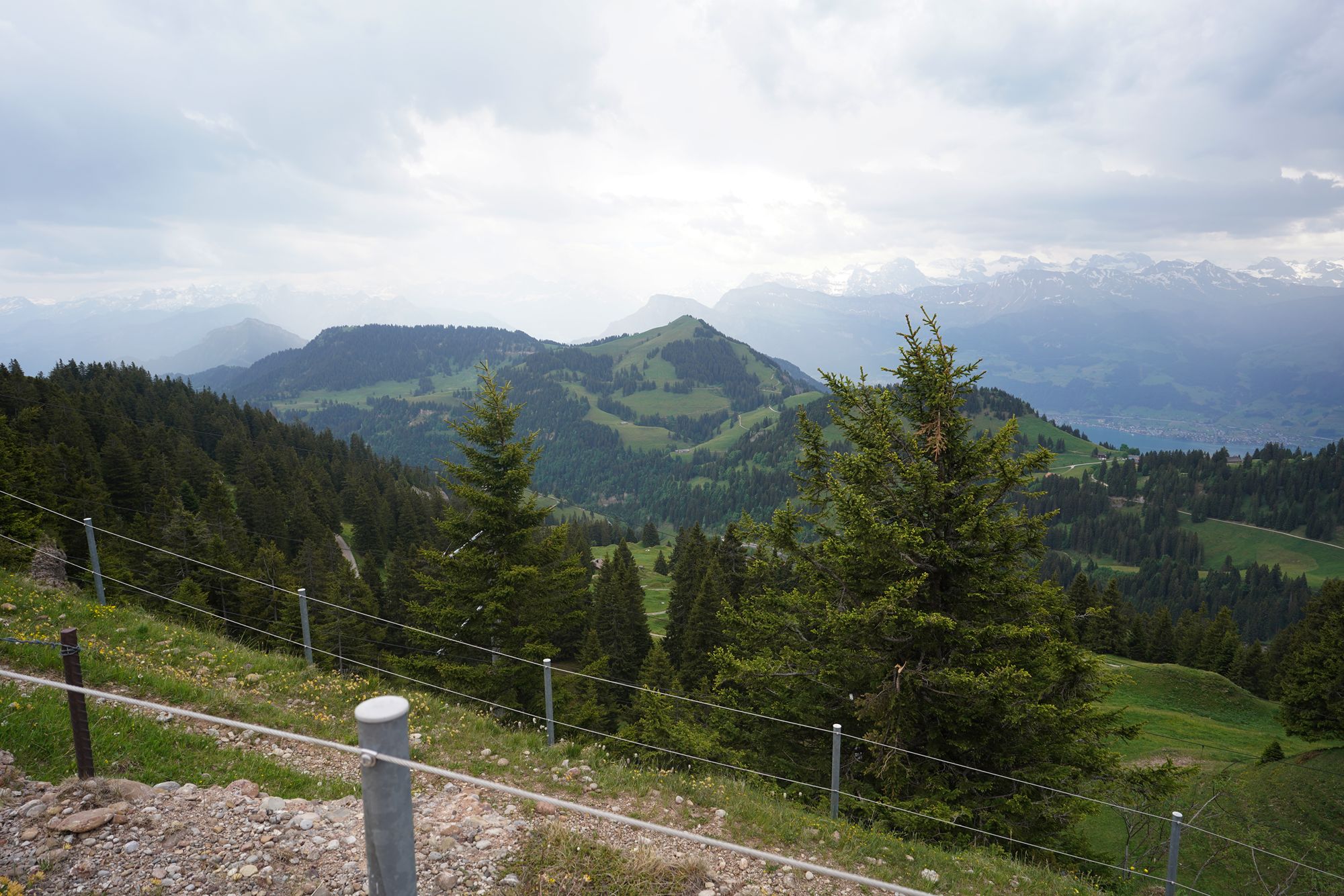 Mt. Rigi (119) Mt. Rigi (119)
