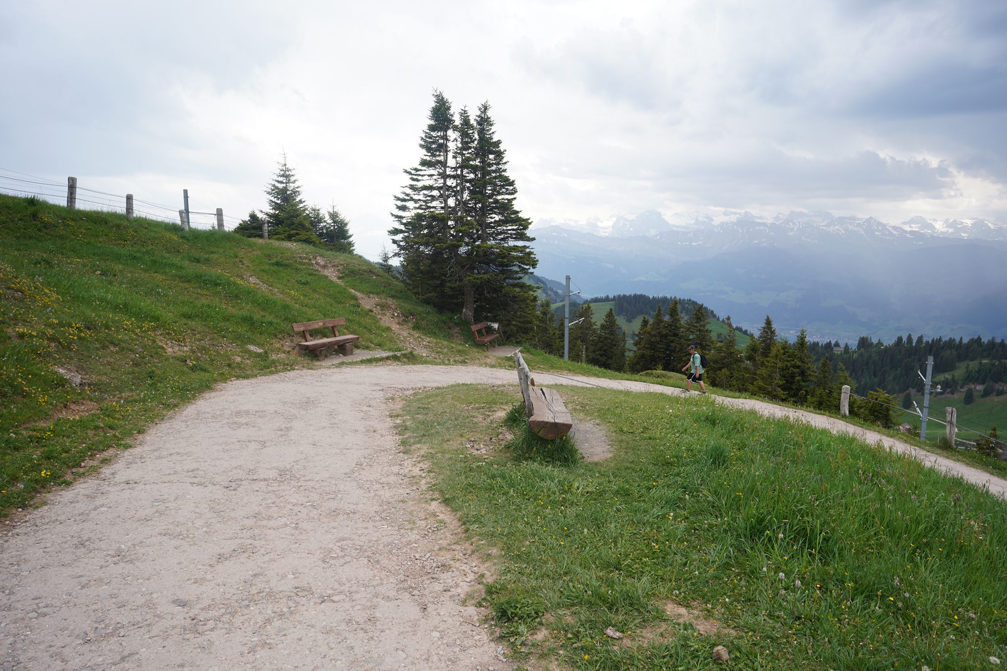 Mt. Rigi (124) Mt. Rigi (124)