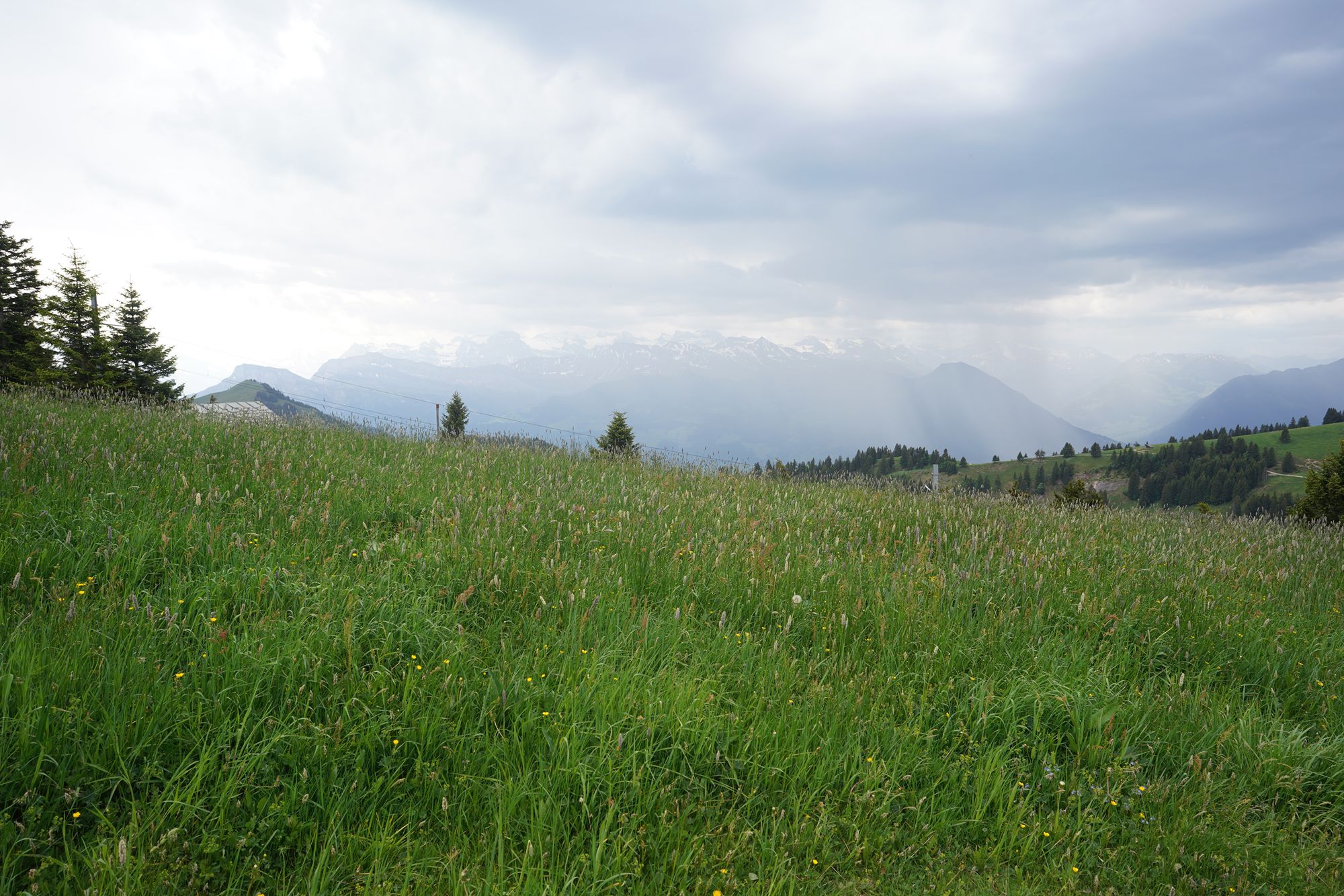 Mt. Rigi (127) Mt. Rigi (127)