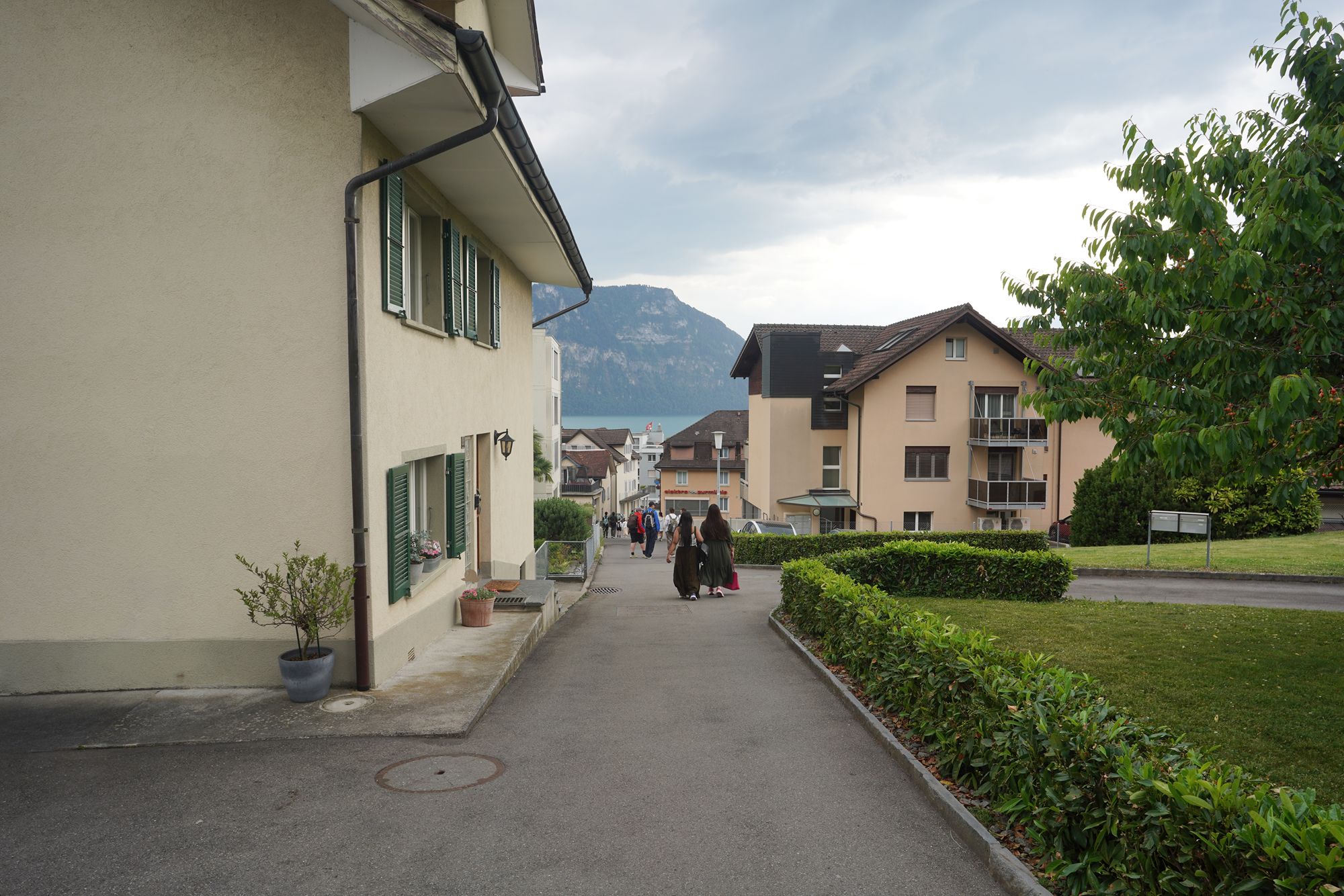 Mt. Rigi (133) Mt. Rigi (133)