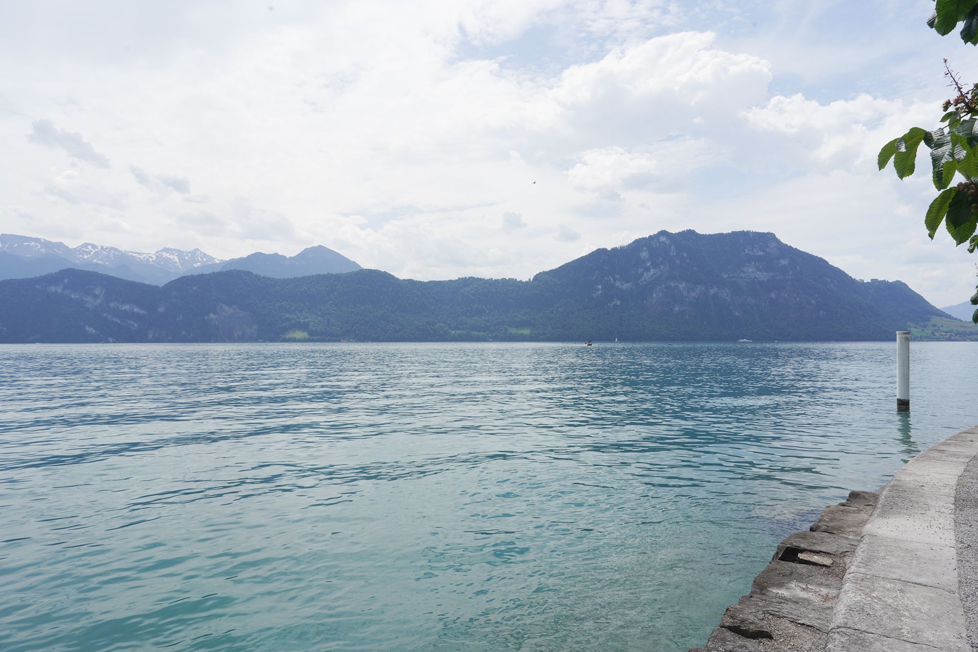 Mt. Rigi (24) Mt. Rigi (24)