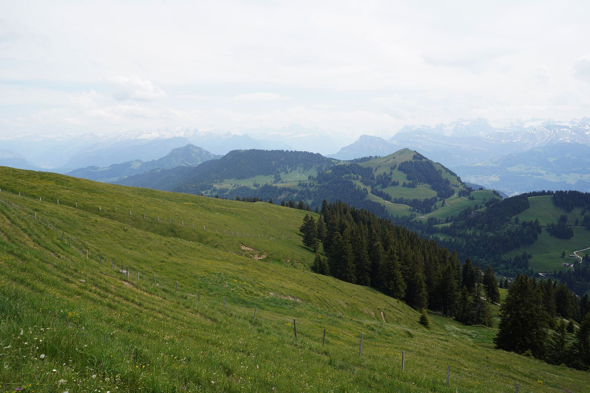 Mt. Rigi (66) Mt. Rigi (66)