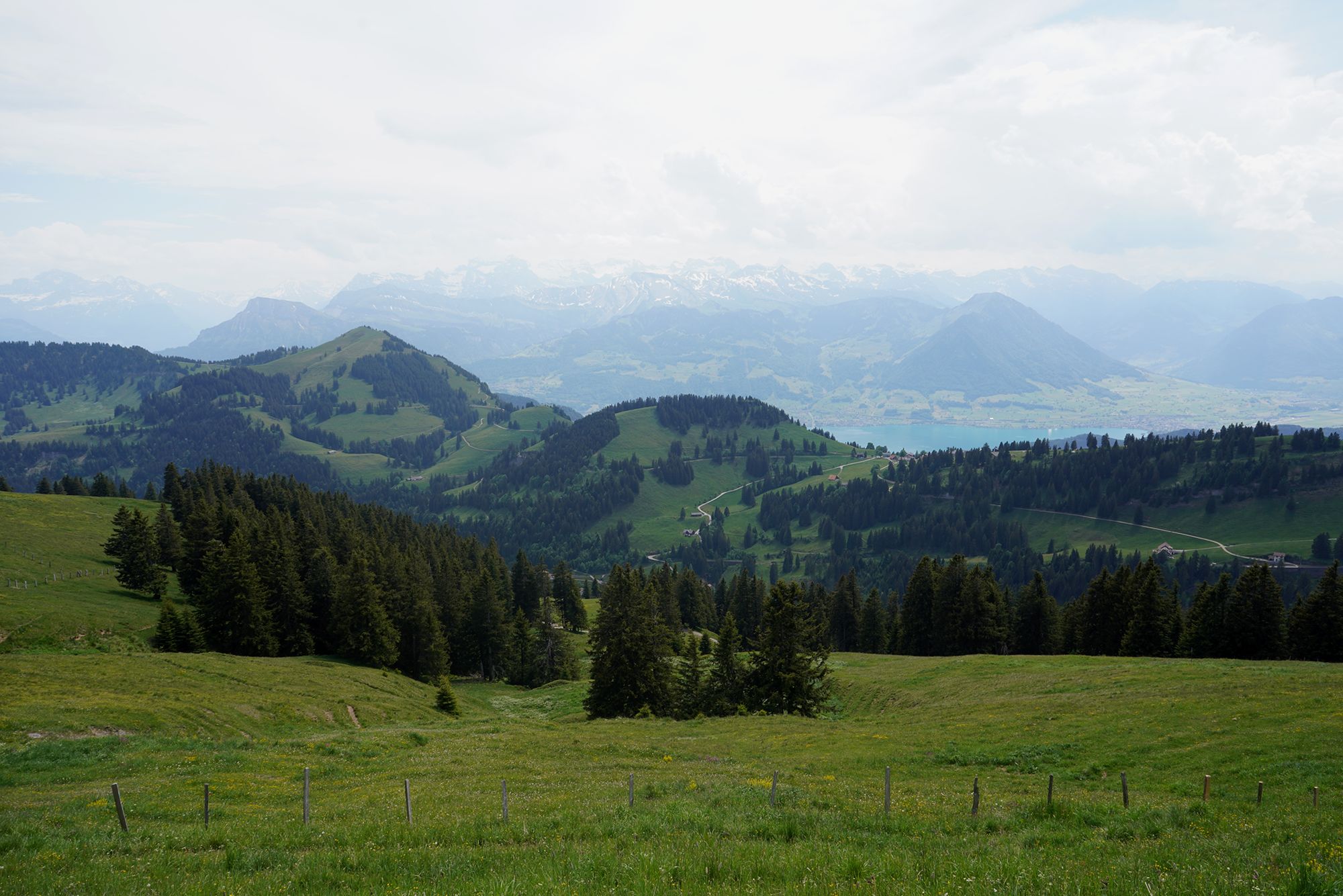 Mt. Rigi (67) Mt. Rigi (67)