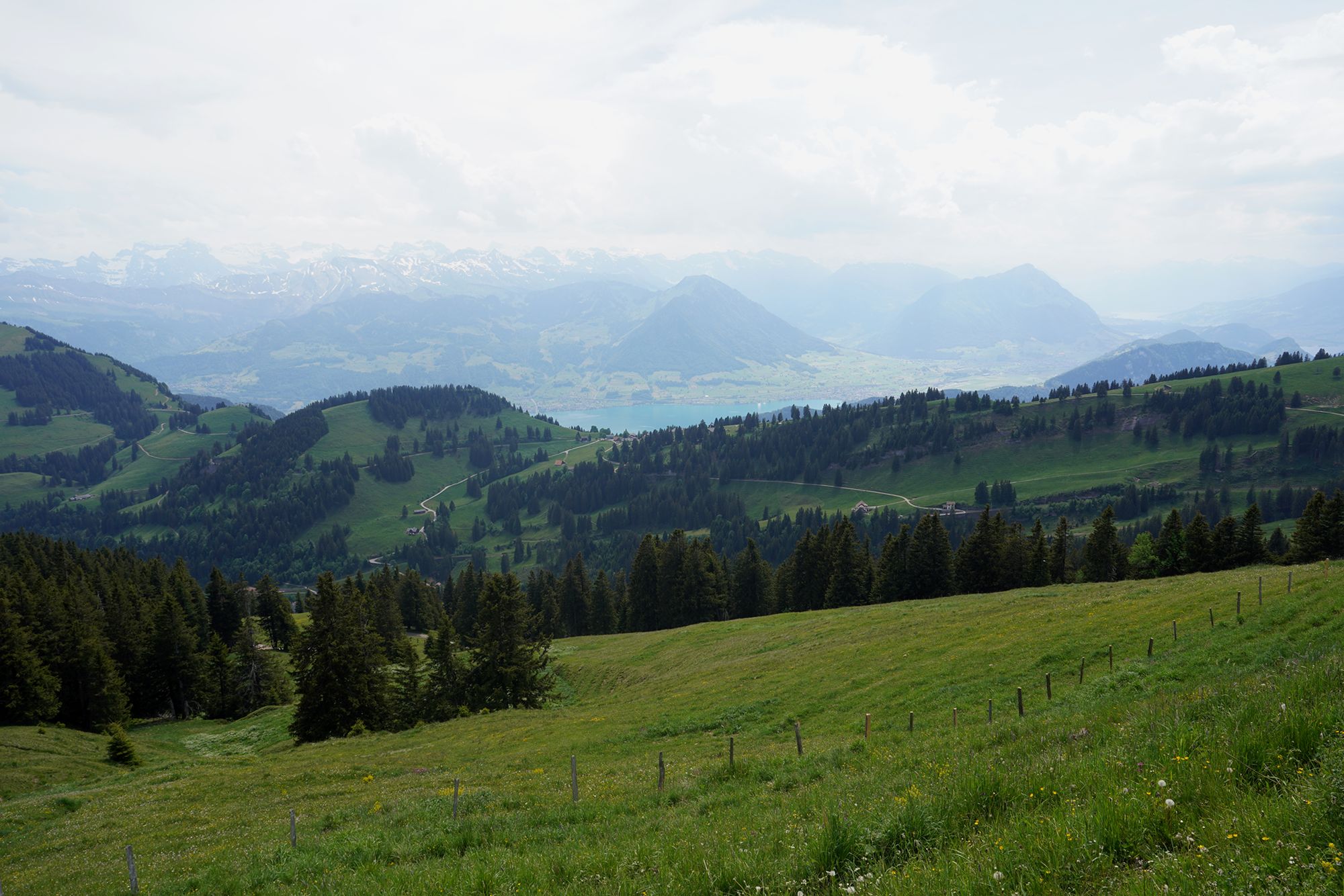 Mt. Rigi (68) Mt. Rigi (68)