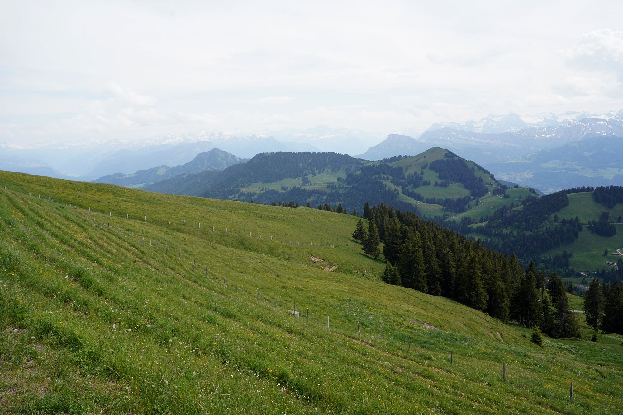Mt. Rigi (73) Mt. Rigi (73)