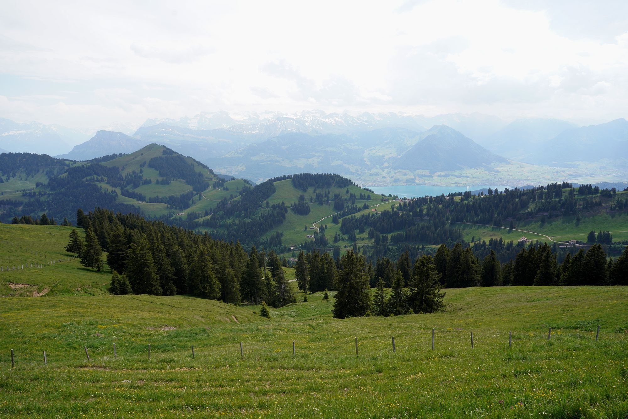 Mt. Rigi (74) Mt. Rigi (74)