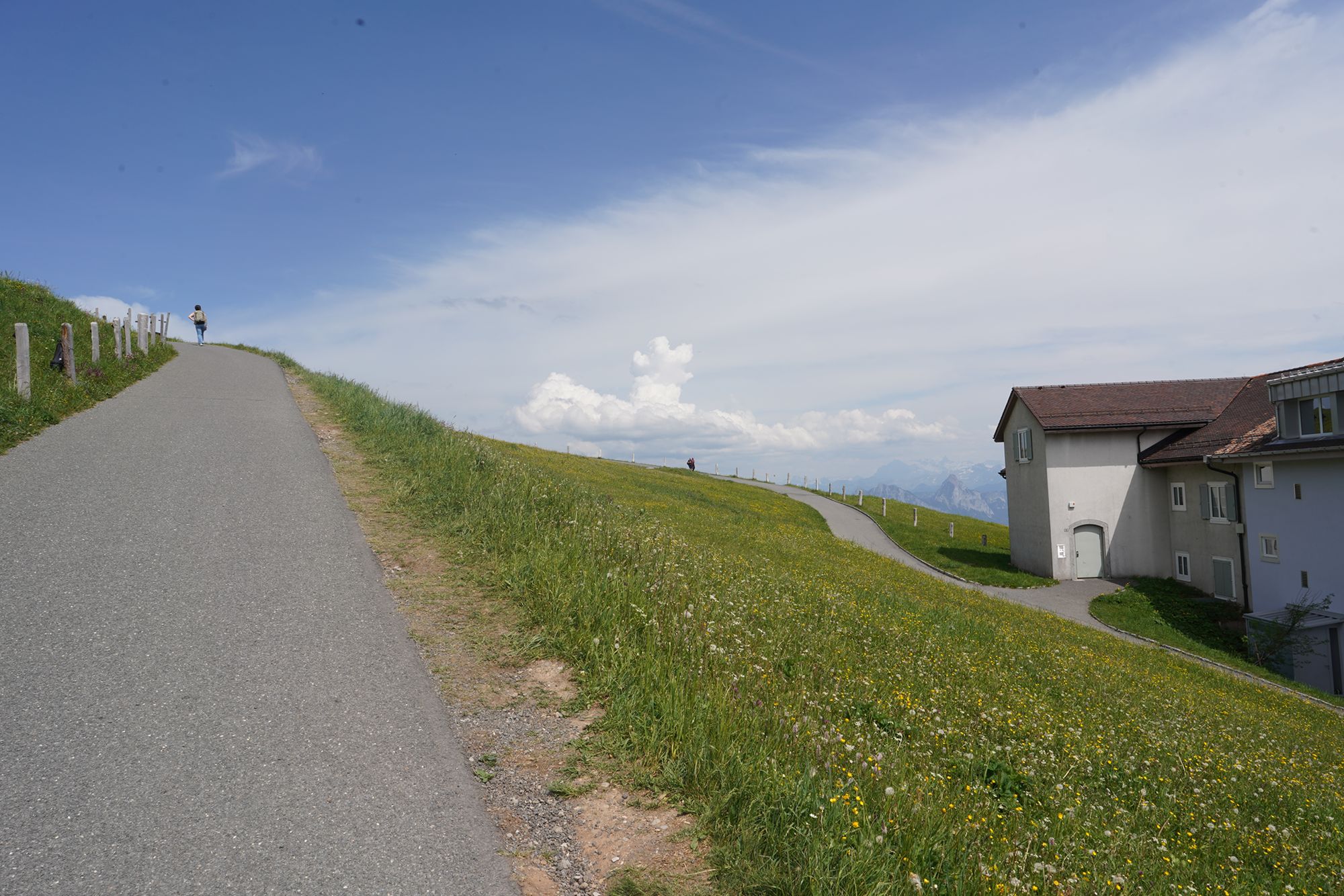 Mt. Rigi (86) Mt. Rigi (86)
