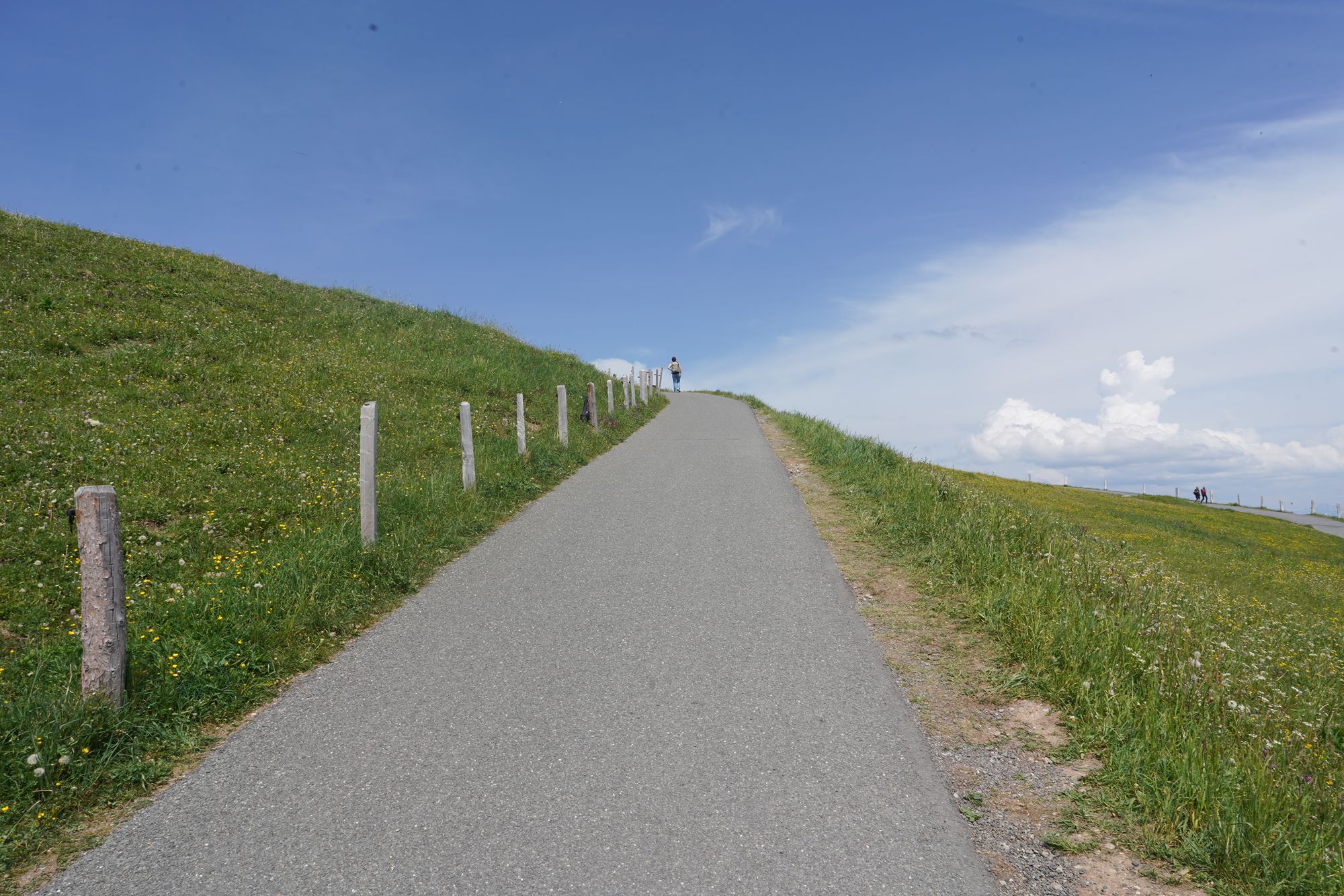 Mt. Rigi (87) Mt. Rigi (87)