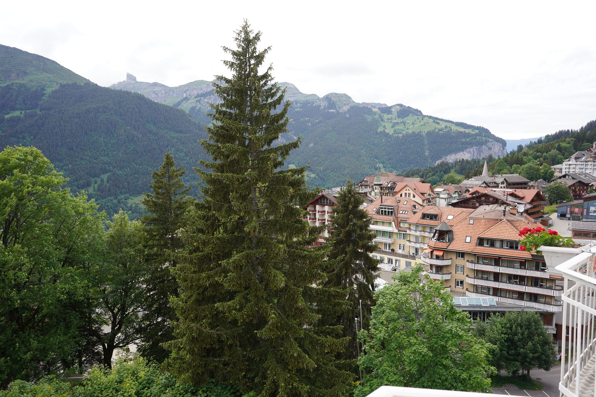 Murren (112) Murren (112)