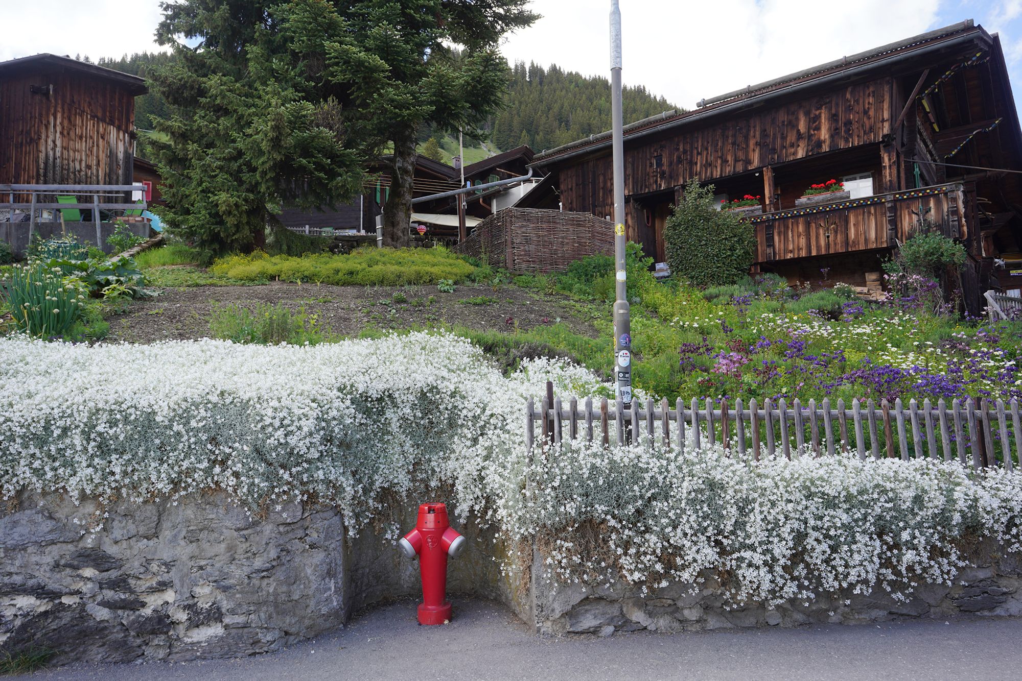Murren (13) Murren (13)