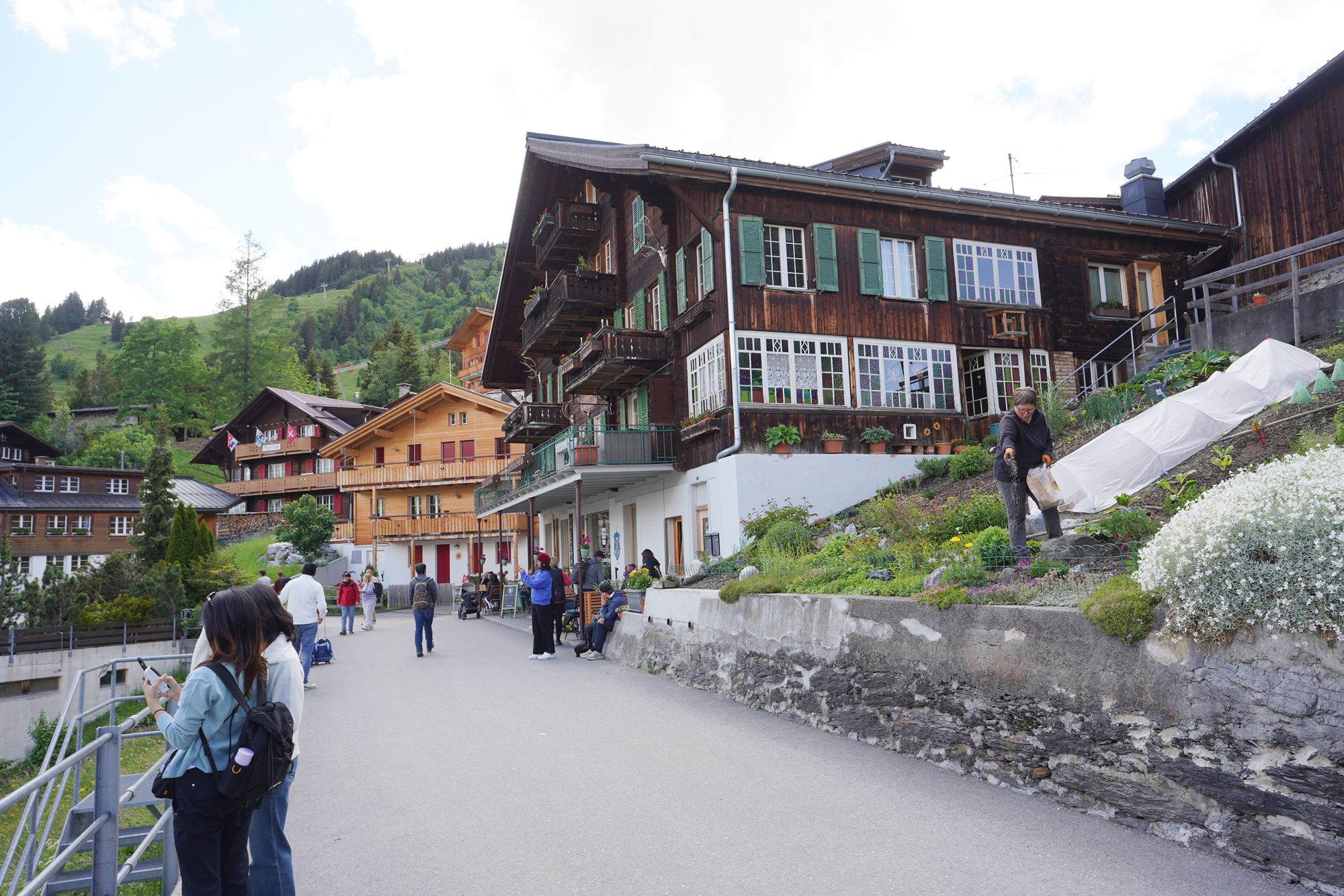 Murren (14) Murren (14)