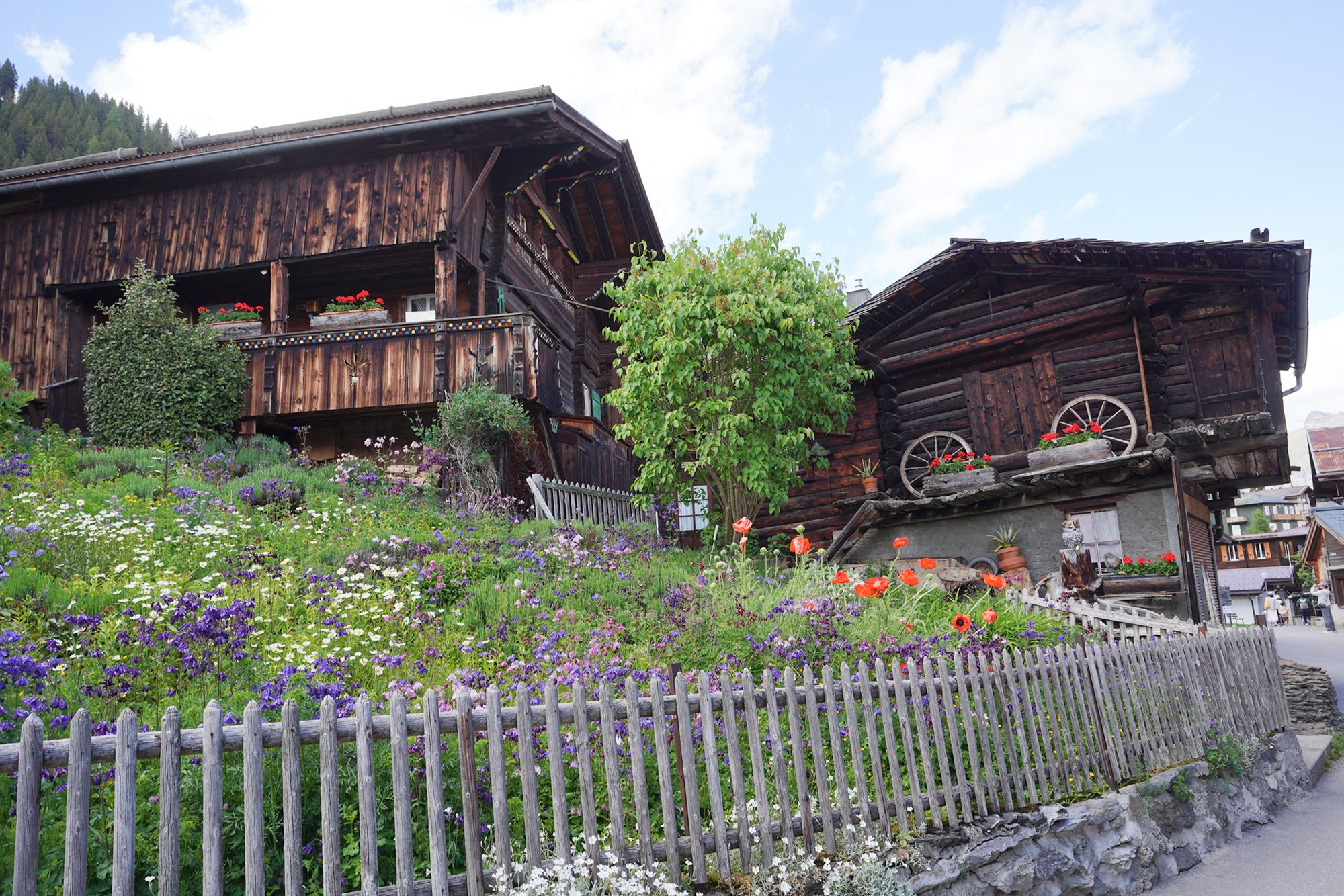 Murren (18) Murren (18)