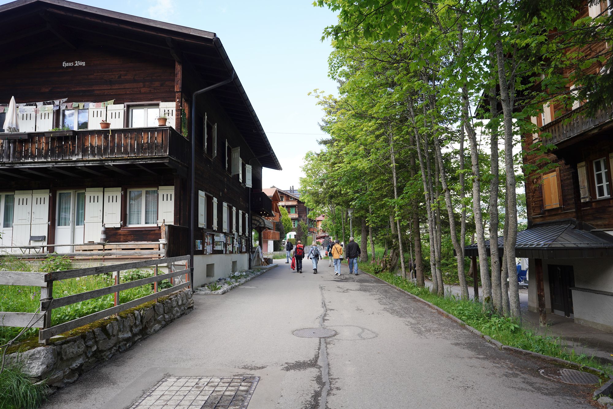 Murren (37) Murren (37)