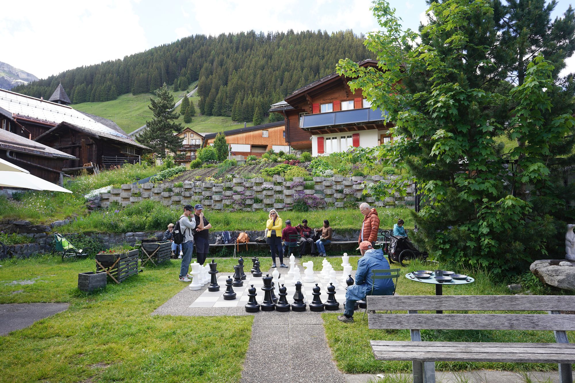 Murren (39) Murren (39)
