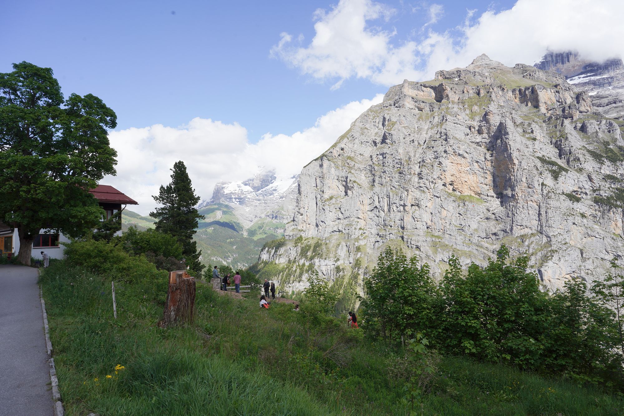 Murren (41) Murren (41)