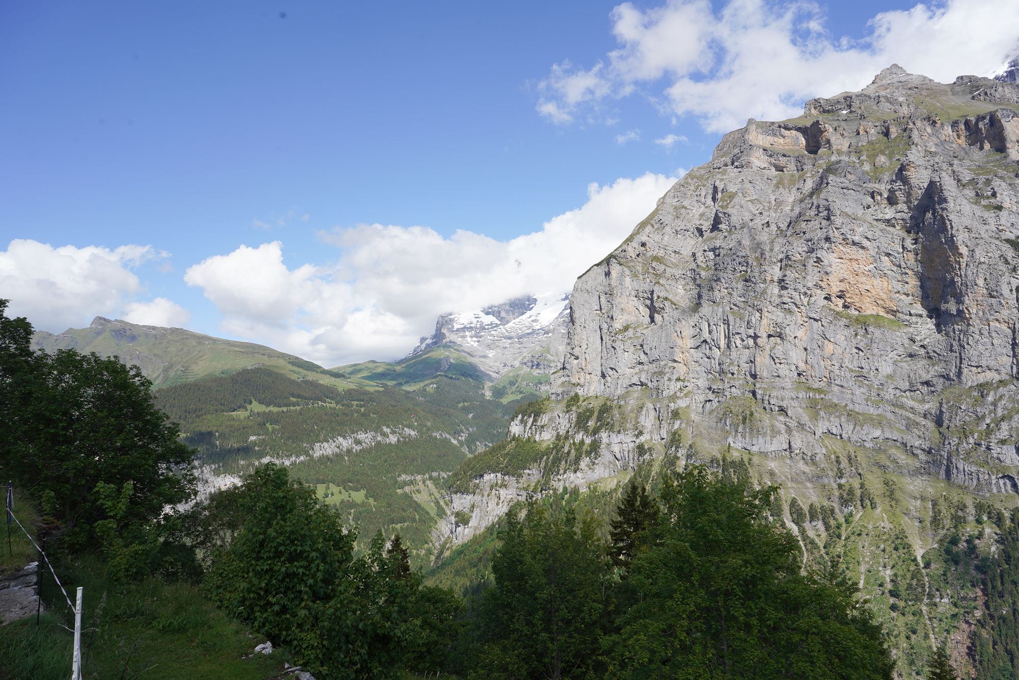 Murren (44) Murren (44)