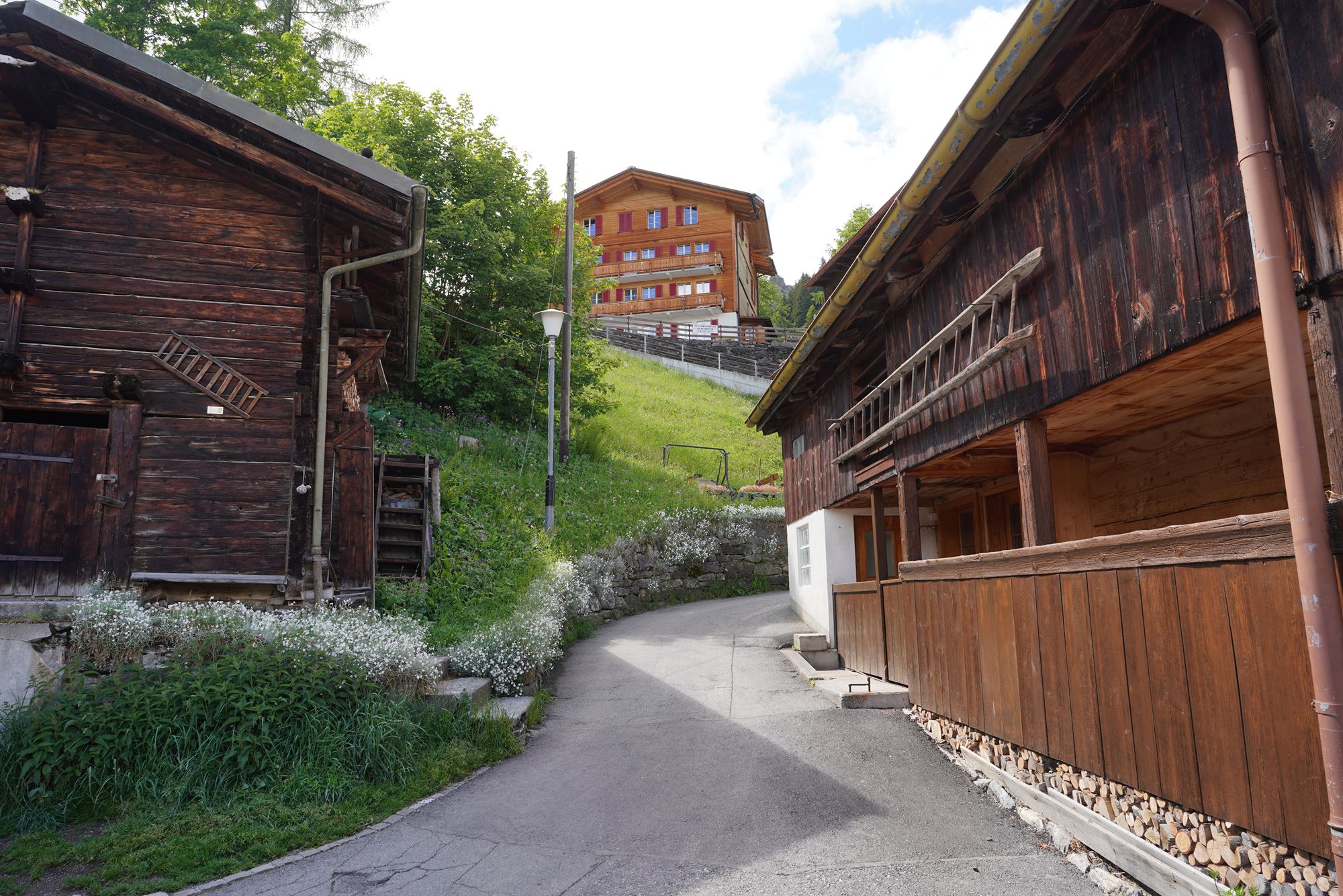 Murren (5) Murren (5)