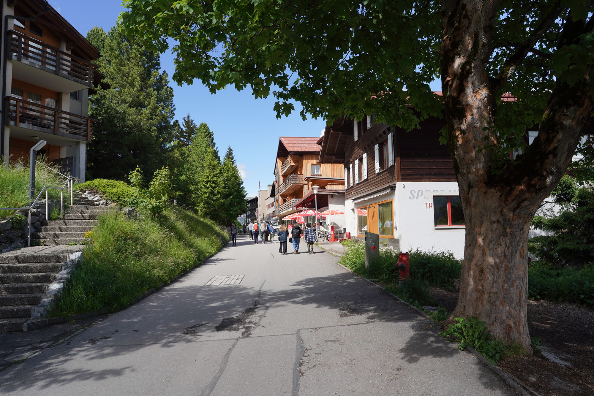 Murren (50) Murren (50)