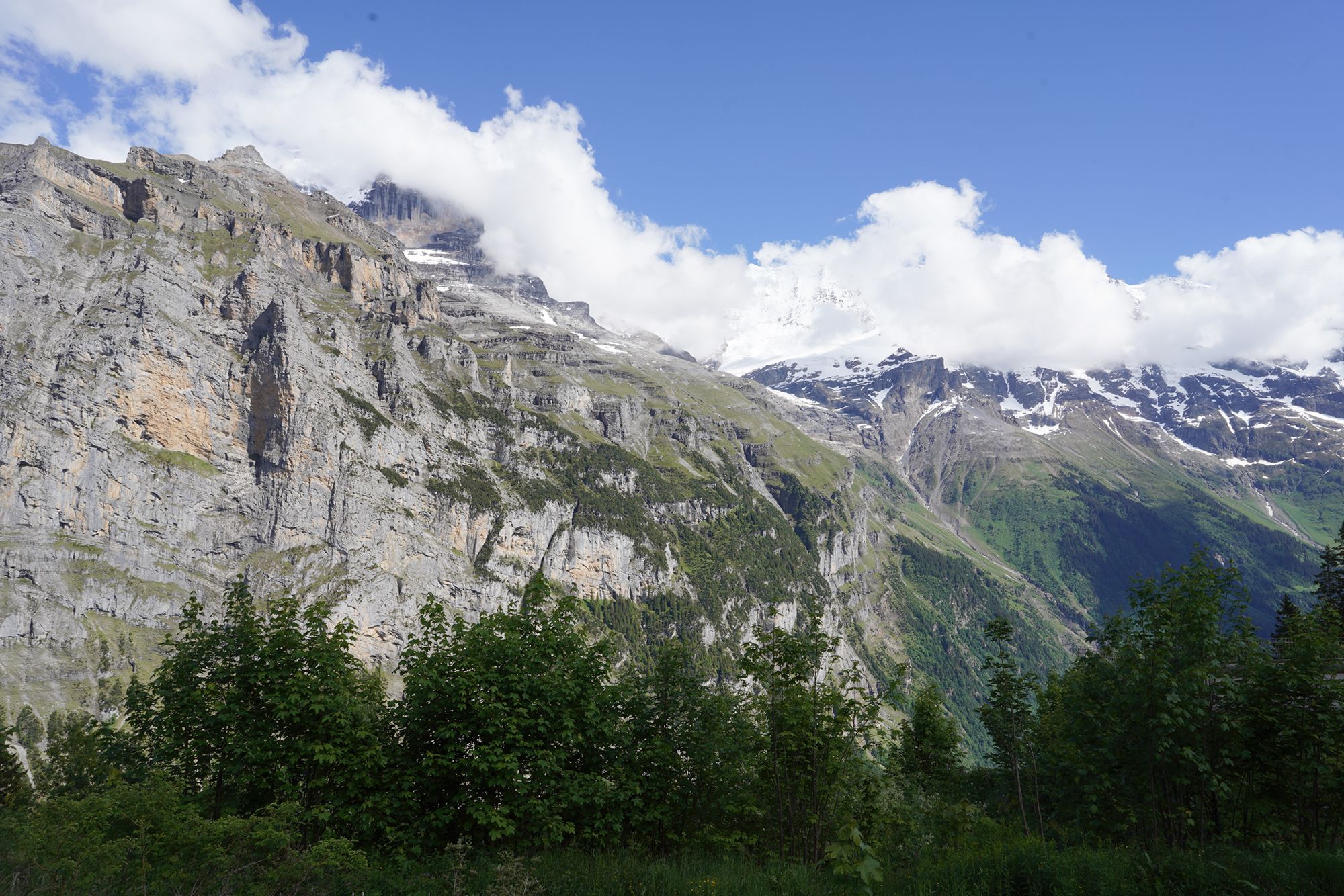 Murren (56) Murren (56)