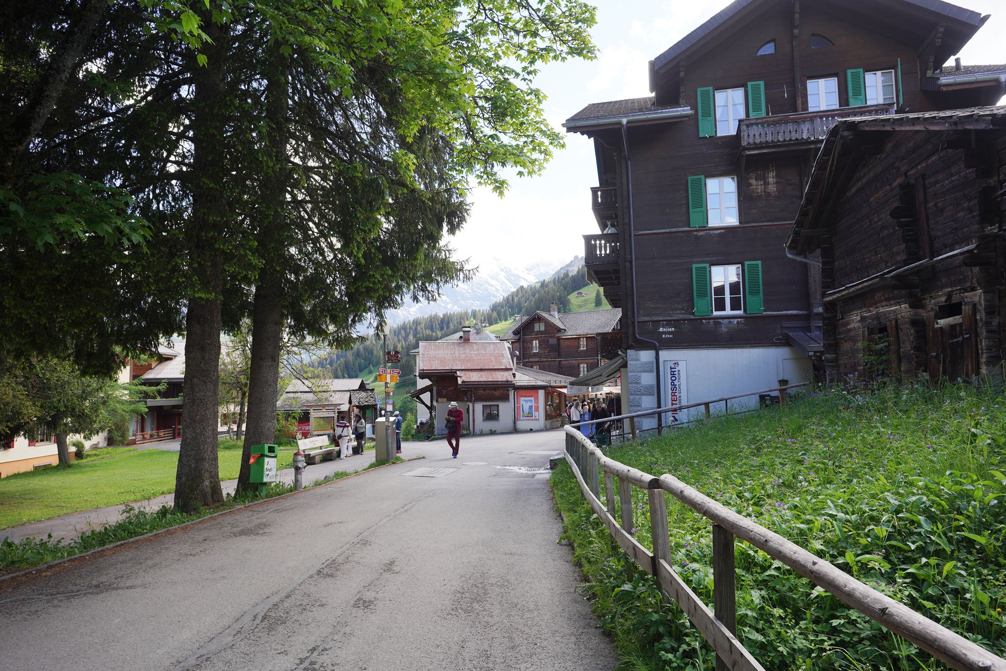 Murren (57) Murren (57)