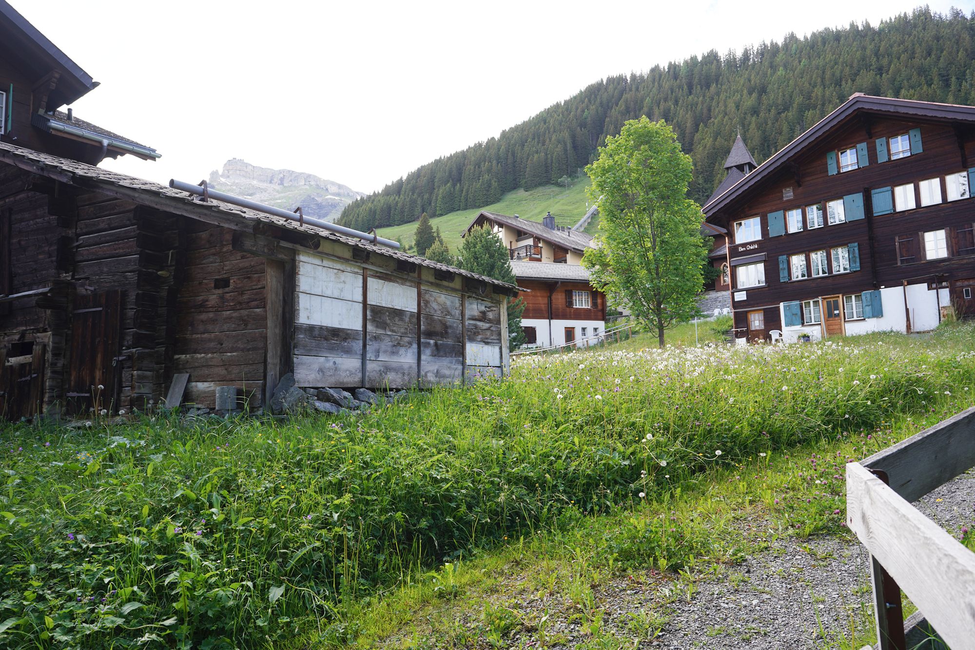 Murren (58) Murren (58)