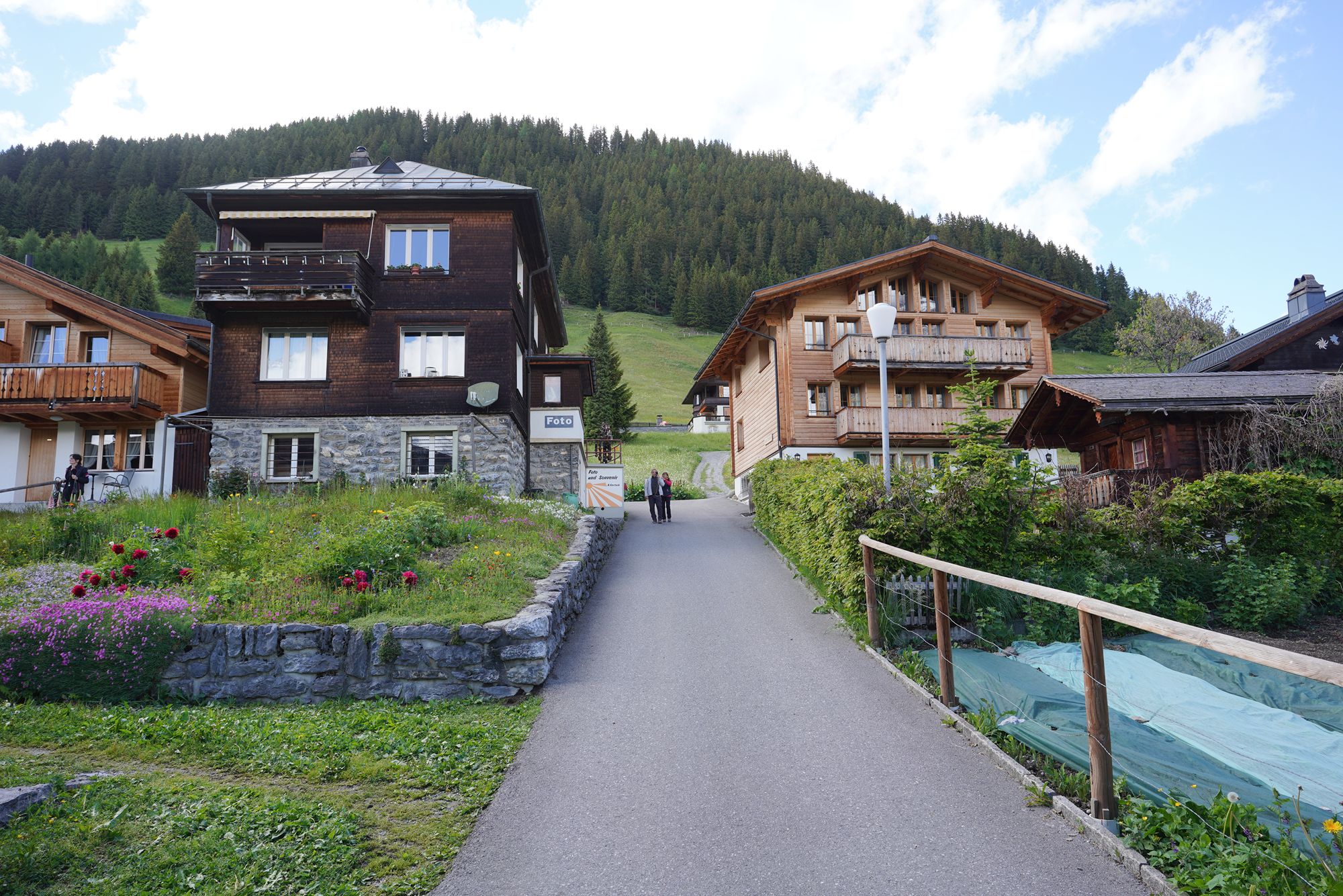 Murren (61) Murren (61)