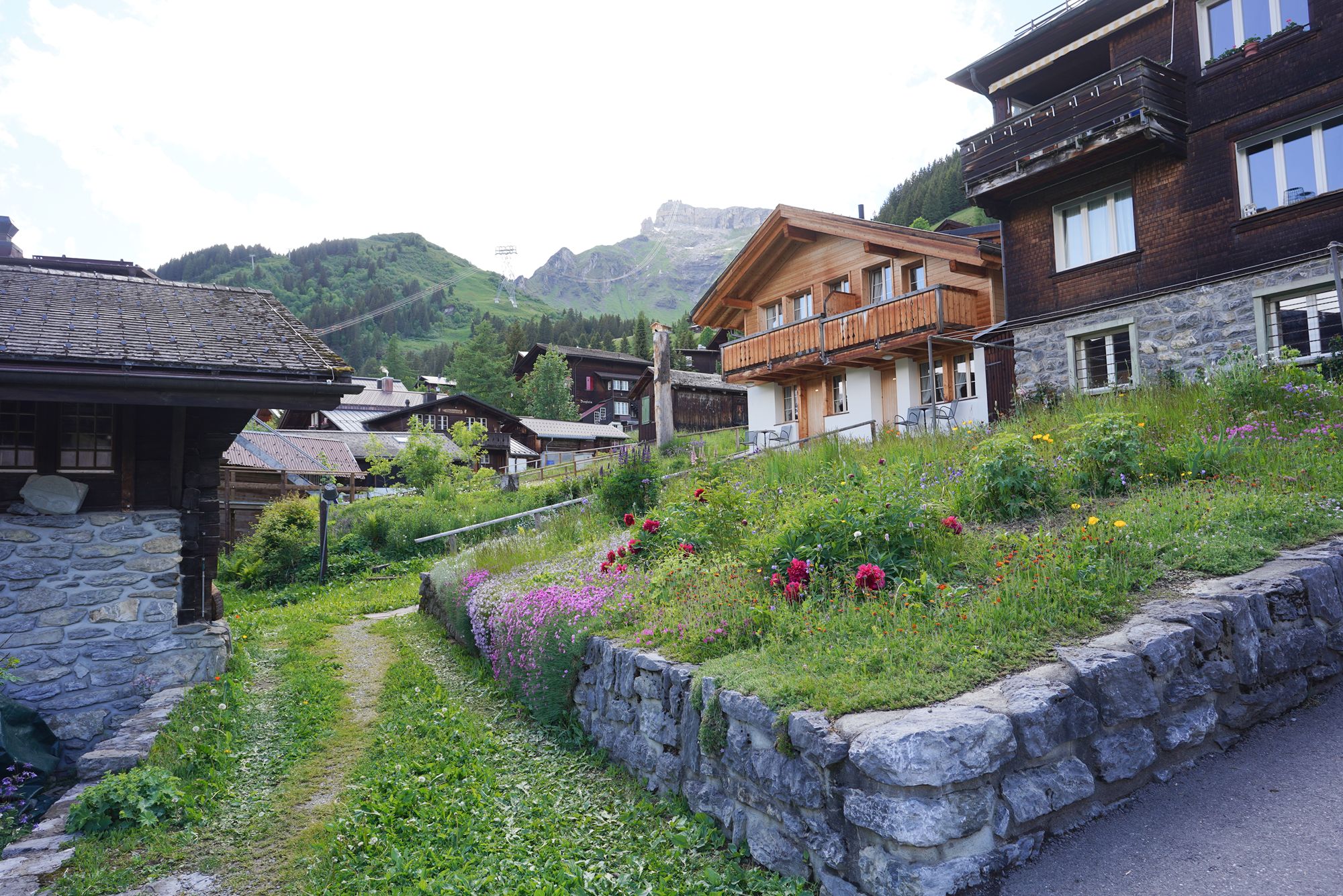 Murren (62) Murren (62)