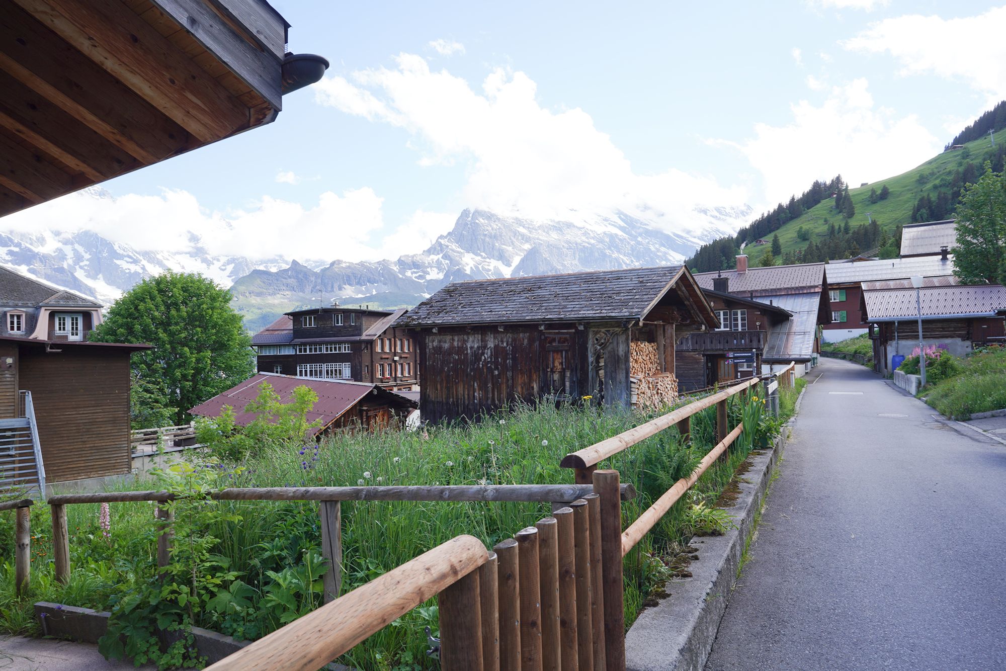 Murren (66) Murren (66)