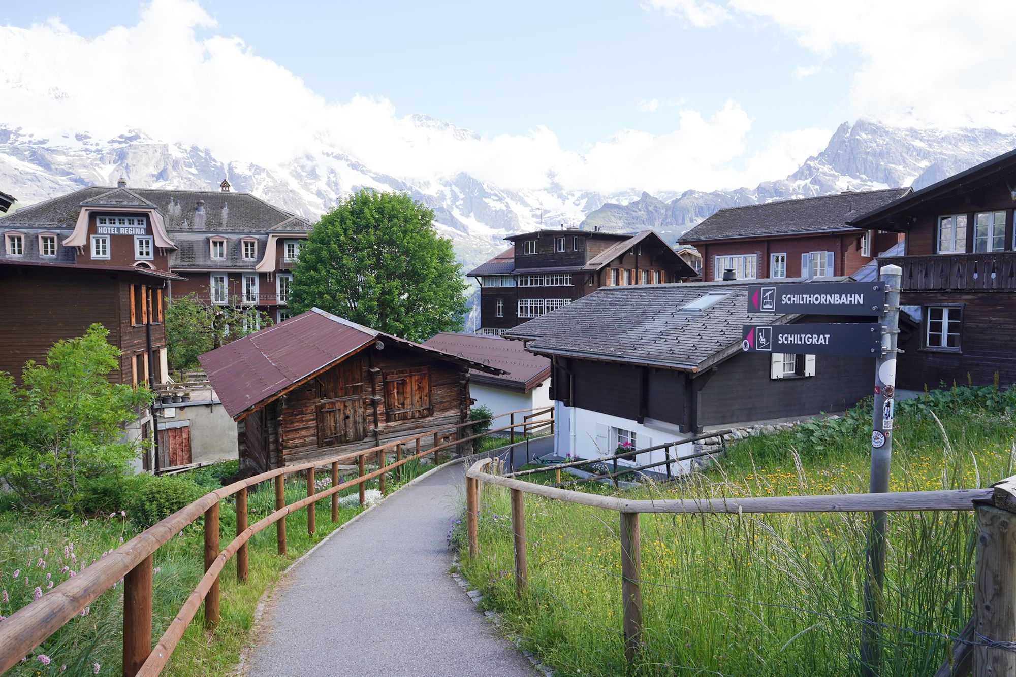 Murren (68) Murren (68)