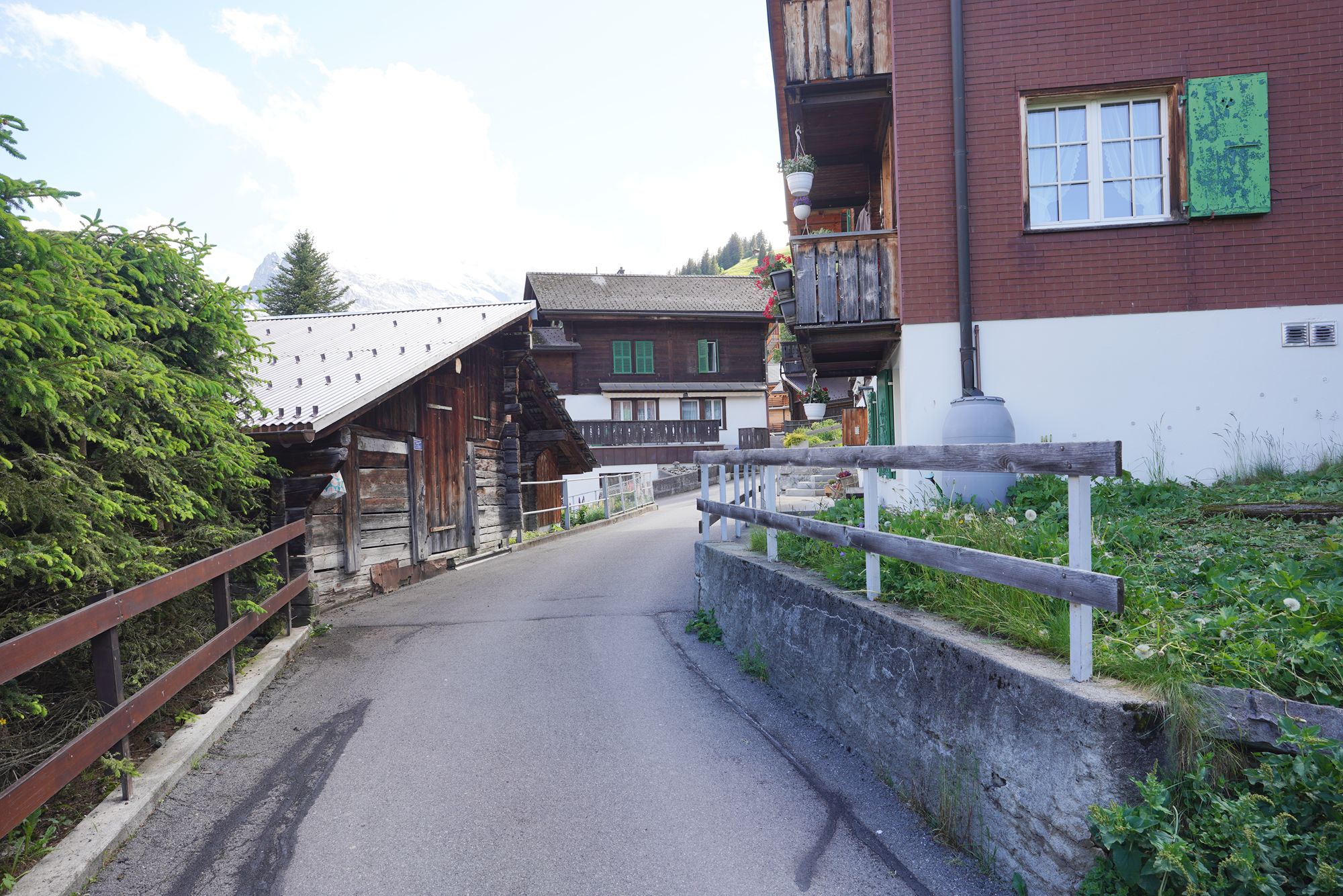 Murren (71) Murren (71)