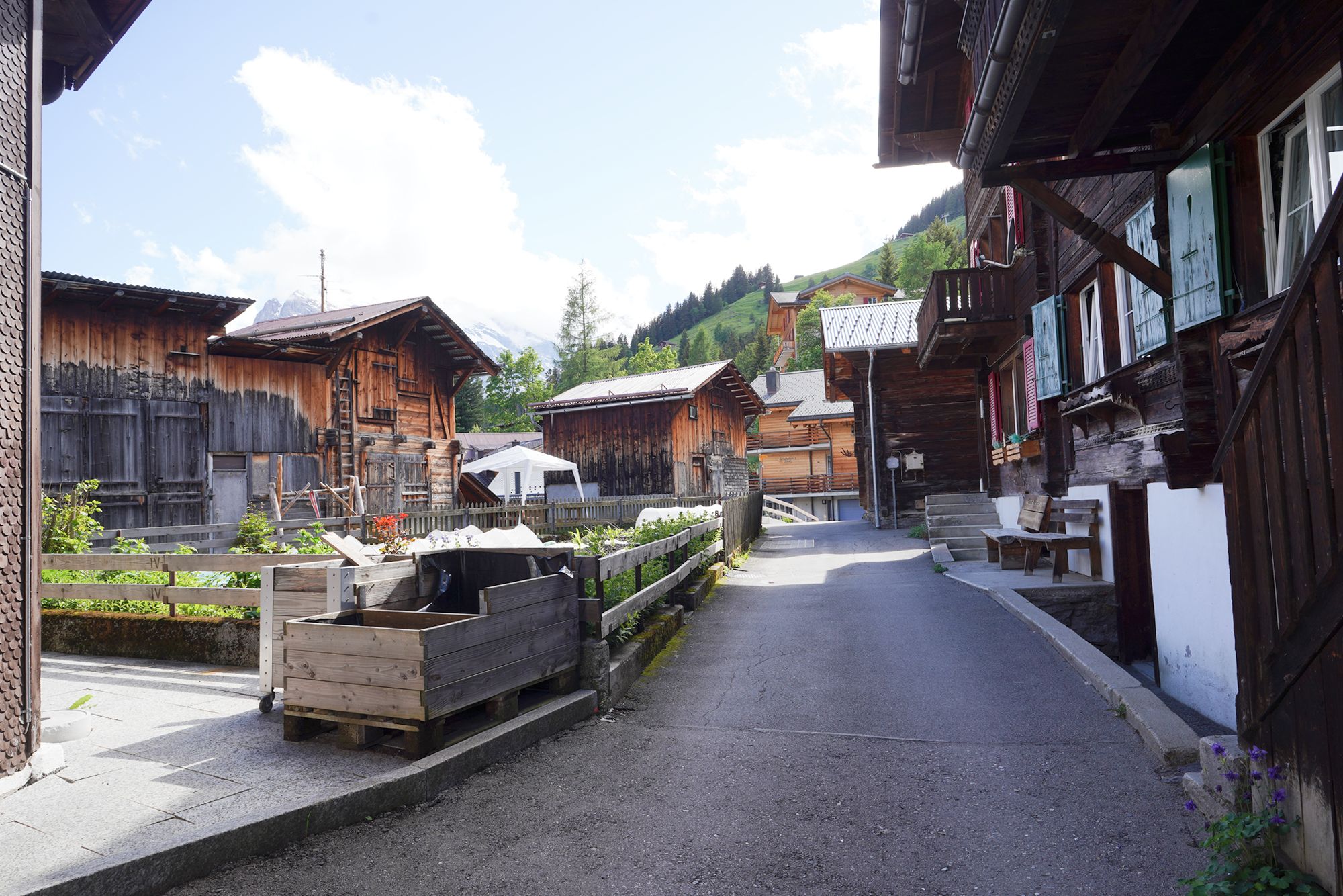 Murren (74) Murren (74)