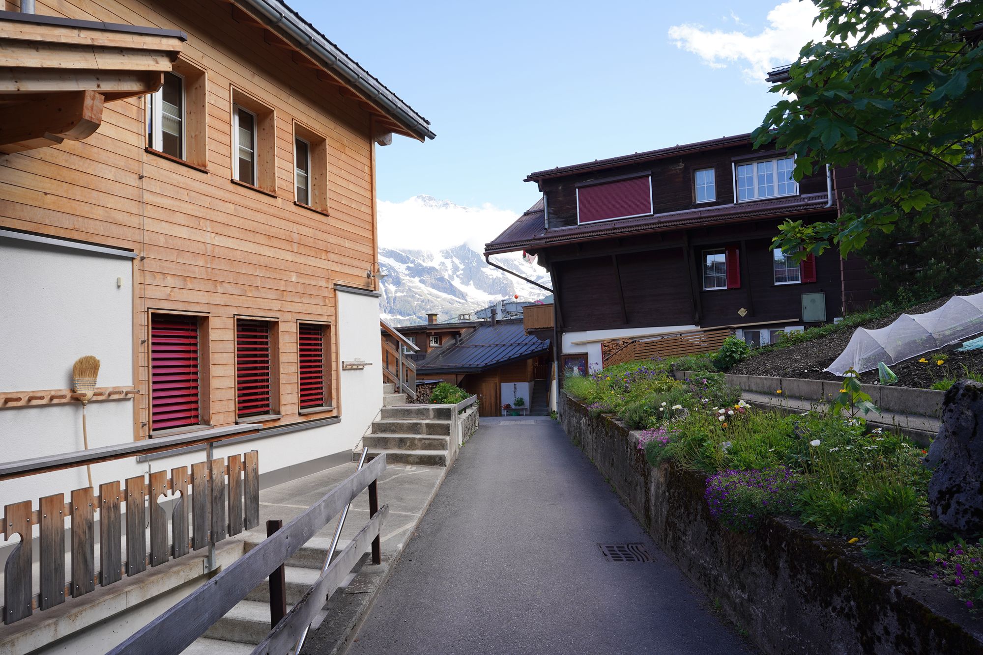 Murren (78) Murren (78)