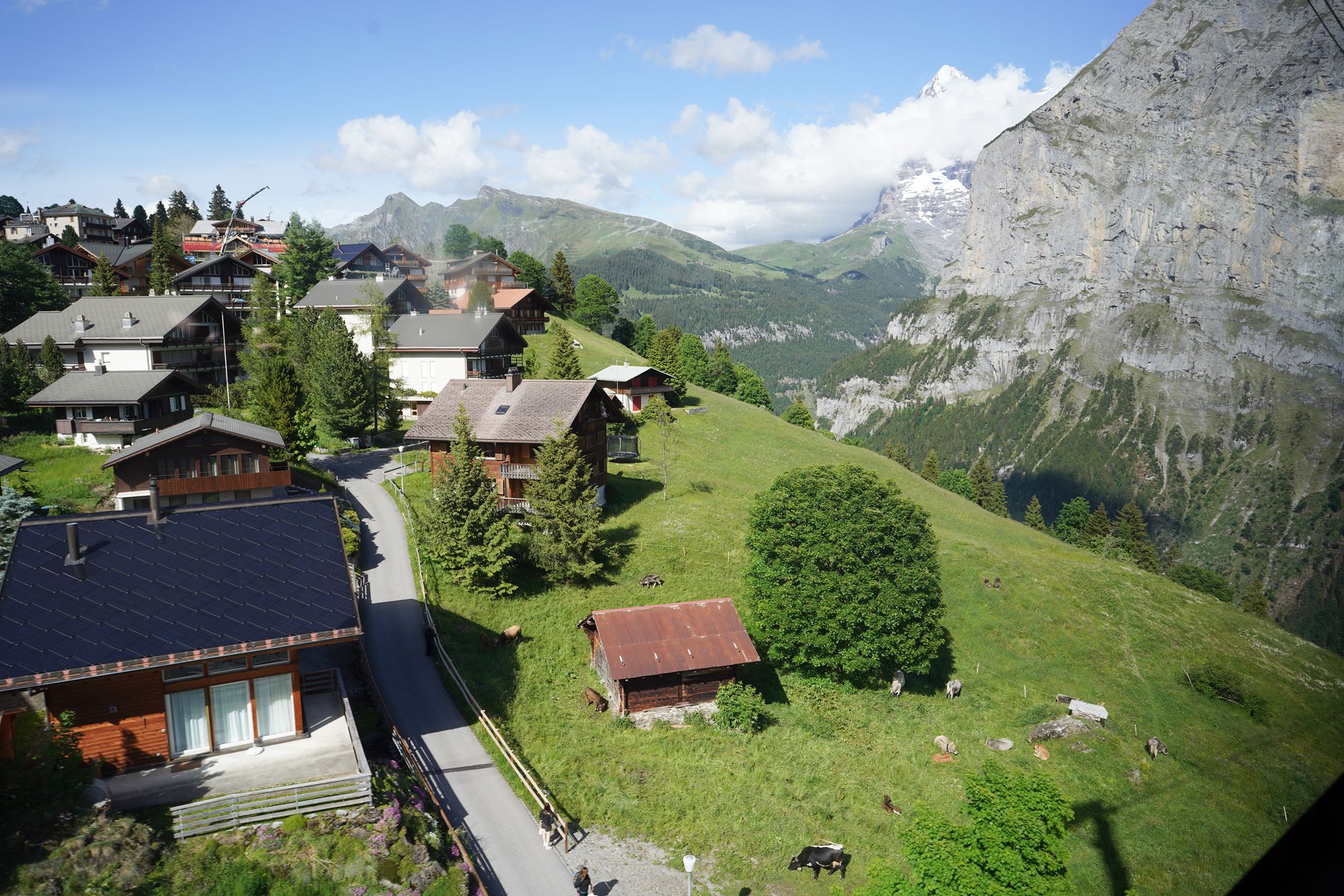 Murren (85) Murren (85)