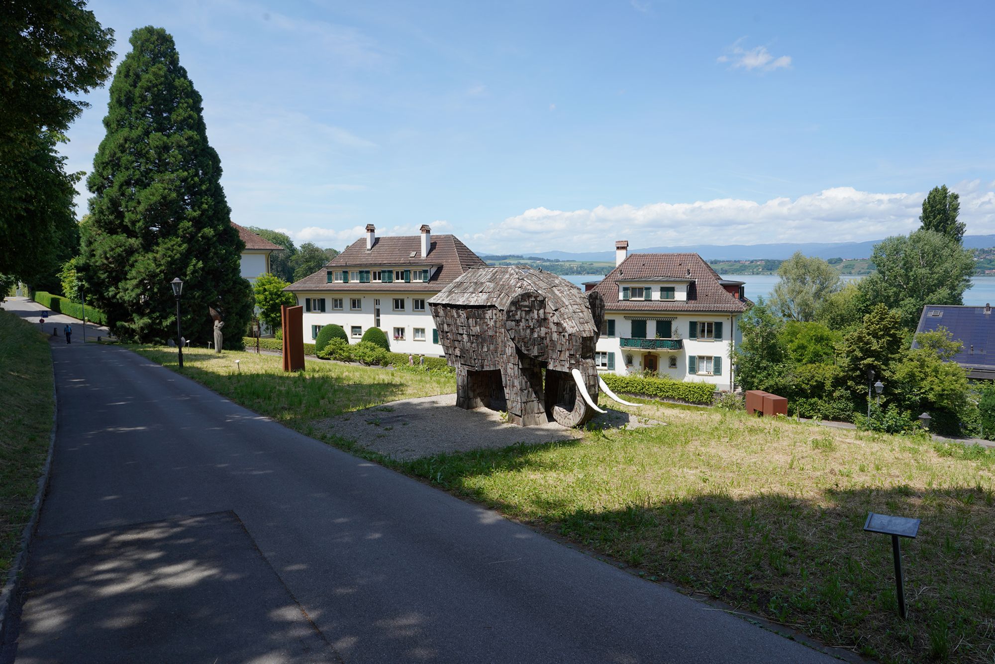 Murten Day Trip (11) Murten Day Trip (11)