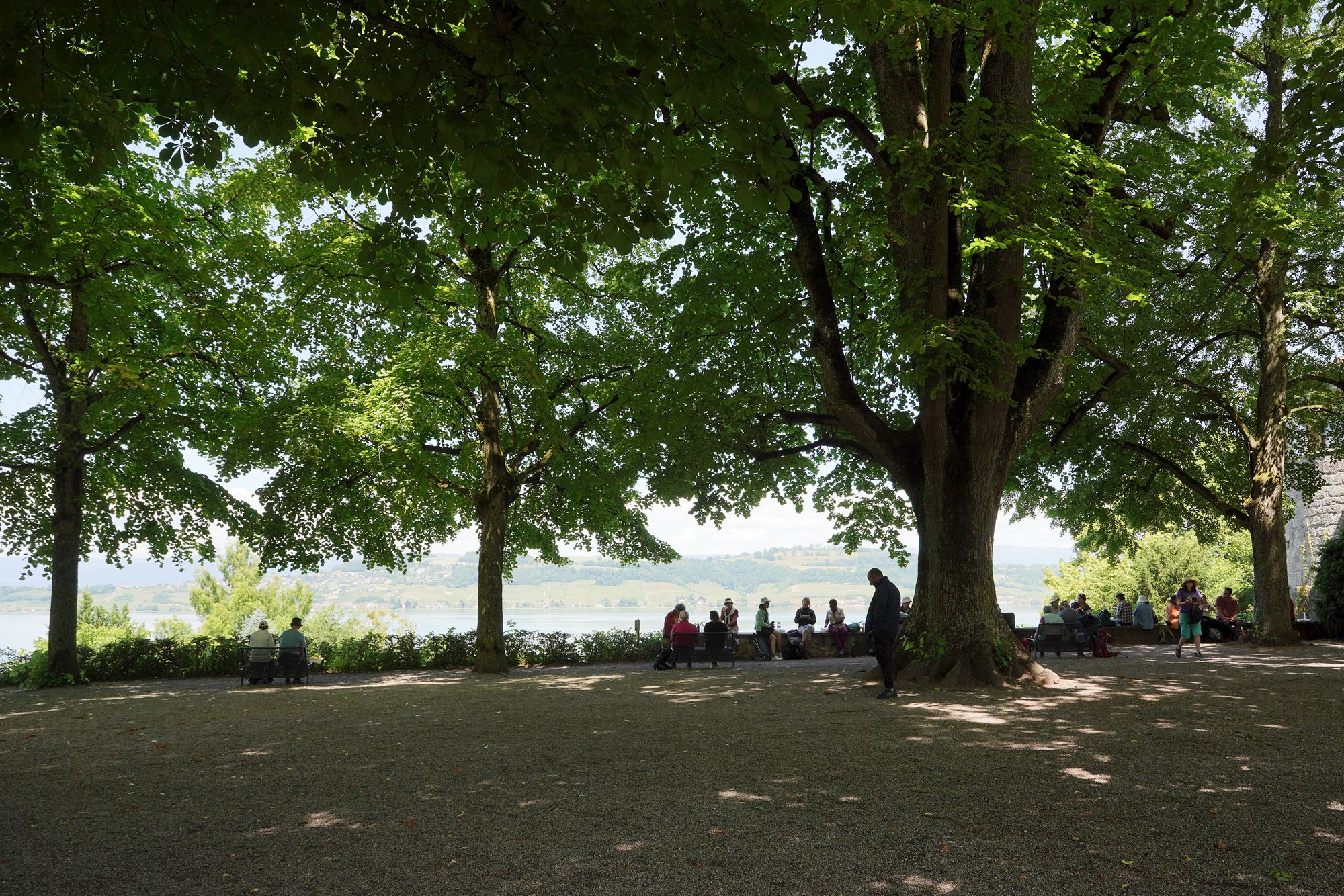Murten Day Trip (14) Murten Day Trip (14)