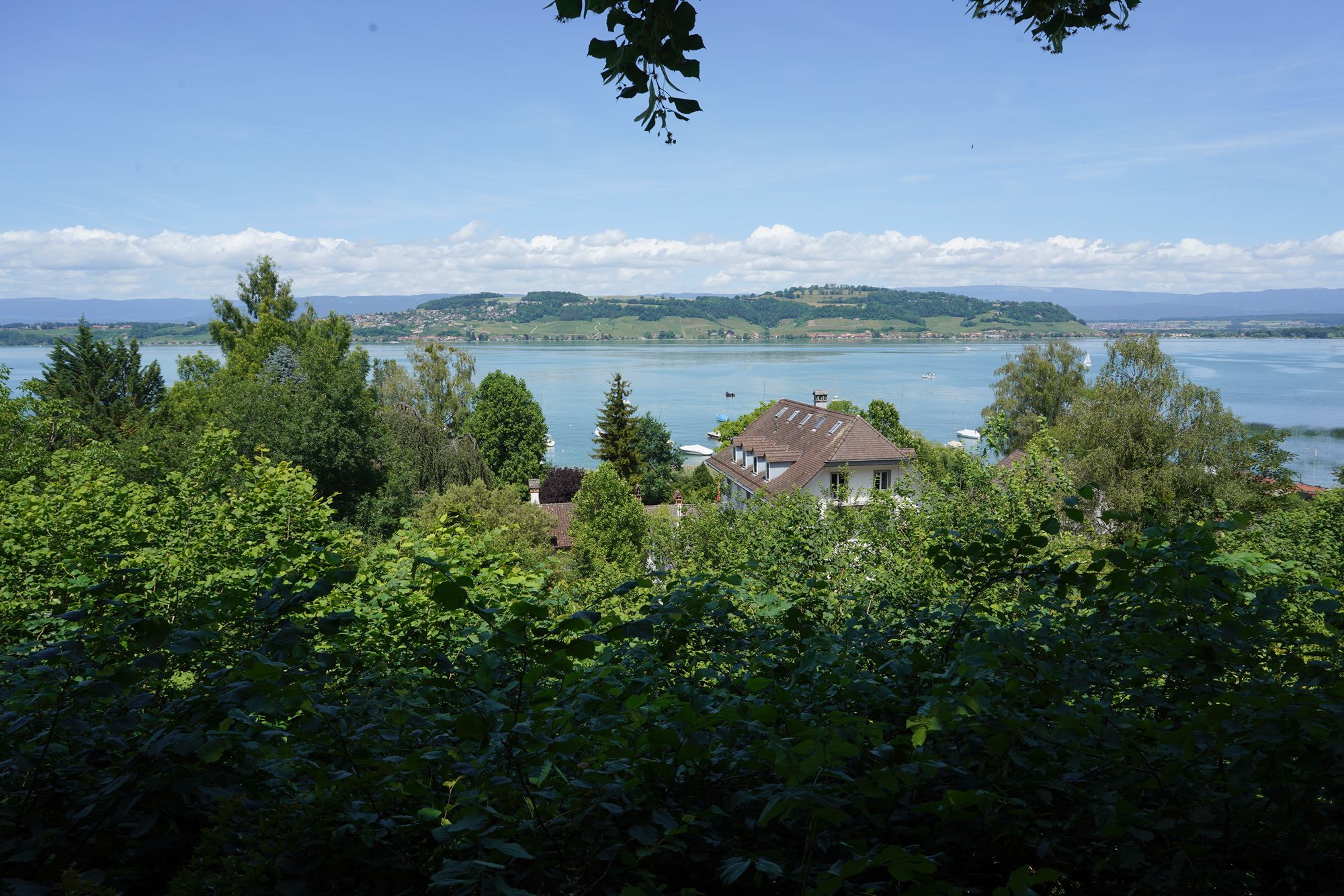 Murten Day Trip (15) Murten Day Trip (15)