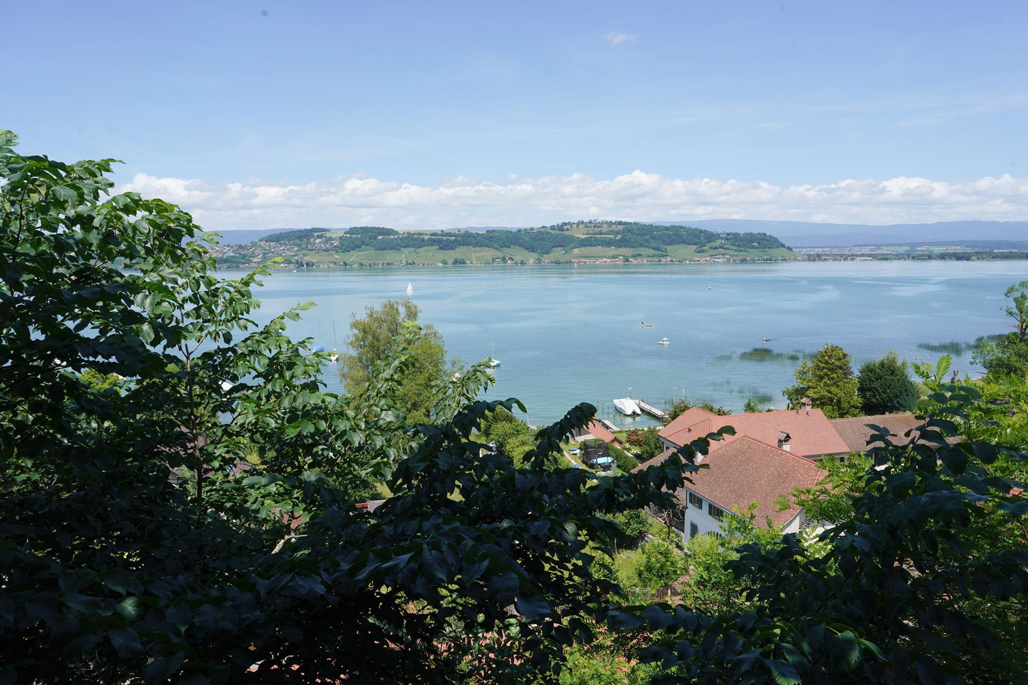 Murten Day Trip (28) Murten Day Trip (28)
