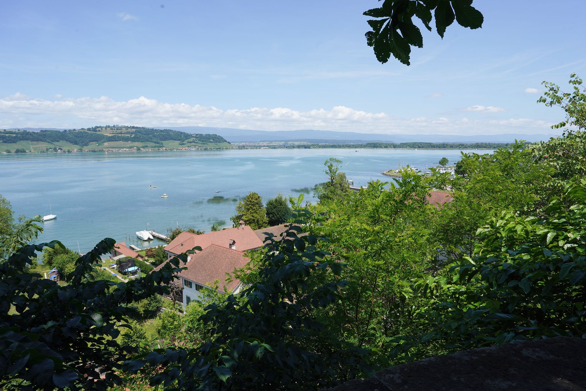 Murten Day Trip (29) Murten Day Trip (29)