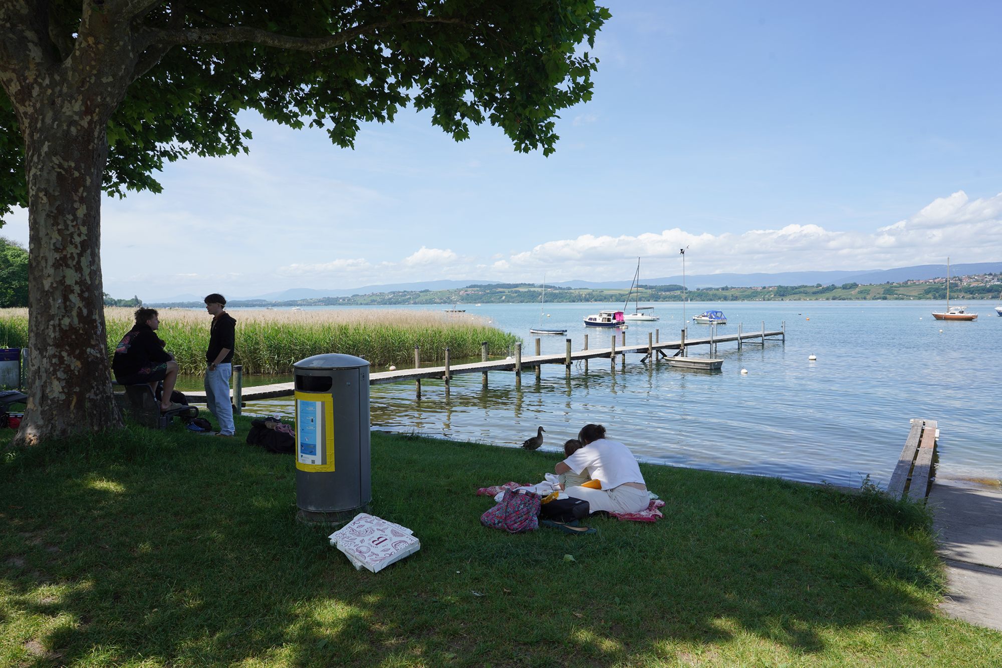 Murten Day Trip (7) Murten Day Trip (7)