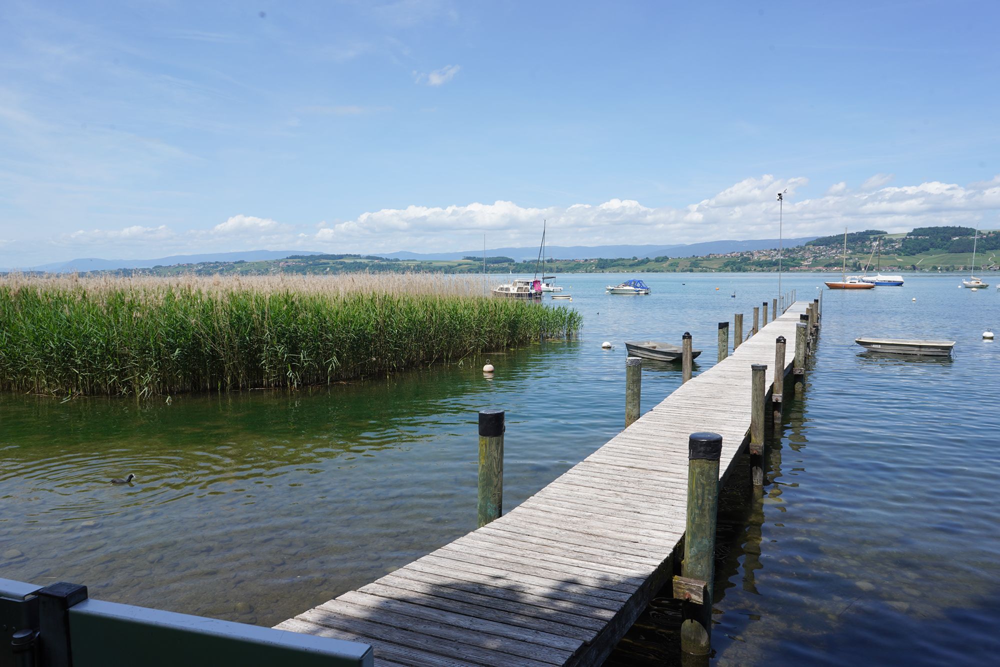 Murten Day Trip (8) Murten Day Trip (8)