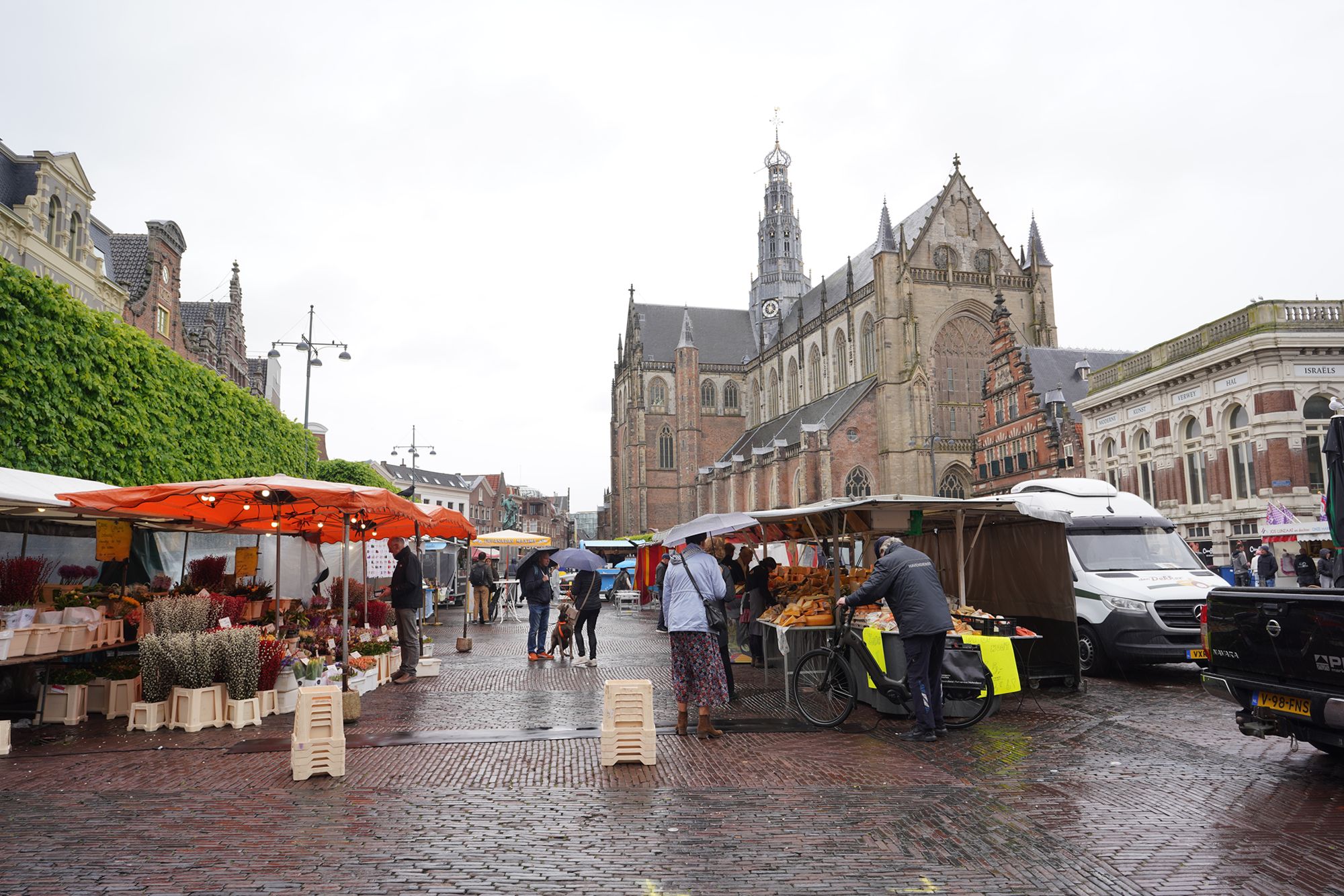 Netherland Rotterdam and Haarlem (115) Netherland Rotterdam and Haarlem (115)