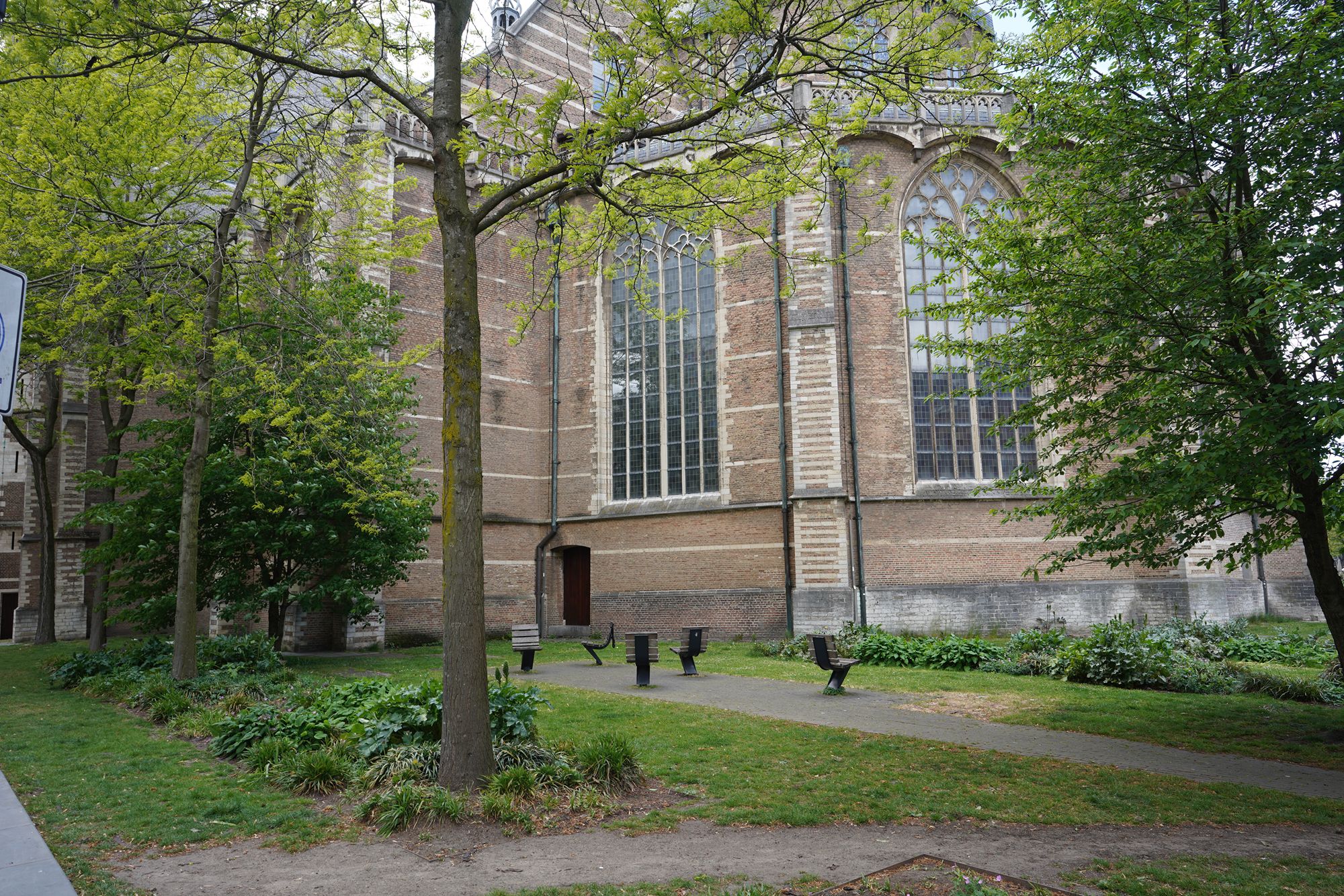 Netherland Rotterdam and Haarlem (48) Netherland Rotterdam and Haarlem (48)