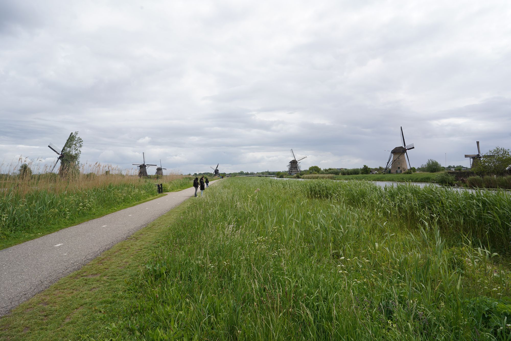 Netherland Werelderfgoed Kinderdijk (100) Netherland Werelderfgoed Kinderdijk (100)