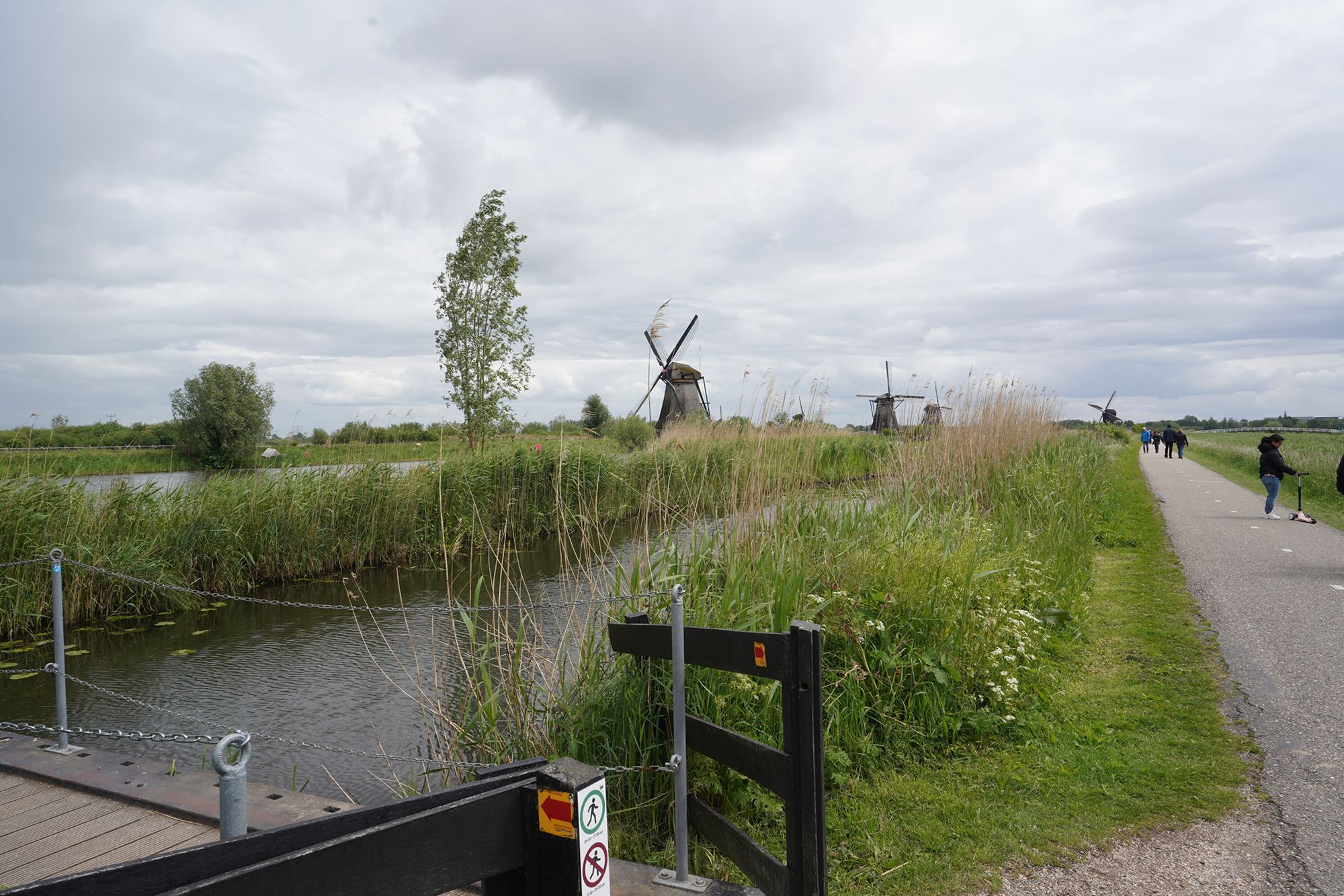 Netherland Werelderfgoed Kinderdijk (101) Netherland Werelderfgoed Kinderdijk (101)
